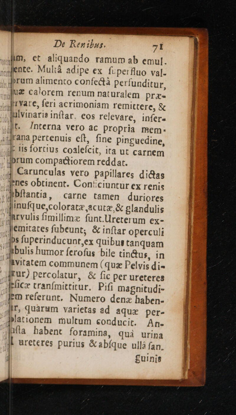 Jim, et aliquando ramum ab emul. «spente. Multà adipe ex fi perfluo val- Jprum alimento confe&amp;à pe: funditur, ]u£ calorem renum naturalem prae qf rvare, feri acrimoniam remittere, &amp; , fulvinaris inftar. eos relevare, infer« Jt. 7nterna vero ac propria mem: ;Mrana pertenuis eft, fine pinguedine, JF 1is fortius coalefcit, ita ut carnem 'W:rum compadtiorem reddat. 4 Carunculas vero papillares di&amp;as Jenes obtinent. Con:ciuntur ex renis dibftantia, carne tamen duriores , inufque,coloratzacutz,&amp; glandulis ; dRrvulis fimillimz fuünt.üreterum ex- | Jemitates fubeunt; &amp; inftar opercult -.qps fuperinducunt,ex quibus tanquam . Jibulis humor ferofus bile tin&amp;us, in  Jivitatem communem (quz Pelvis di« ur) percolatur, &amp; fic per ureteres ipee tranfmittitur. Pifi magnitudi- [em referunt, Numero denz haben- ]ir, quarum varietas ad aque per- lationem multum conducit. An. [ila habent foramina, quà urina Al ureteres purius &amp;abíque ullá fan. ] guinis [ce — TE — IIa UPUNE— GN 70UE— d —À EI Gu Rc em LIEPEIIICI DI T