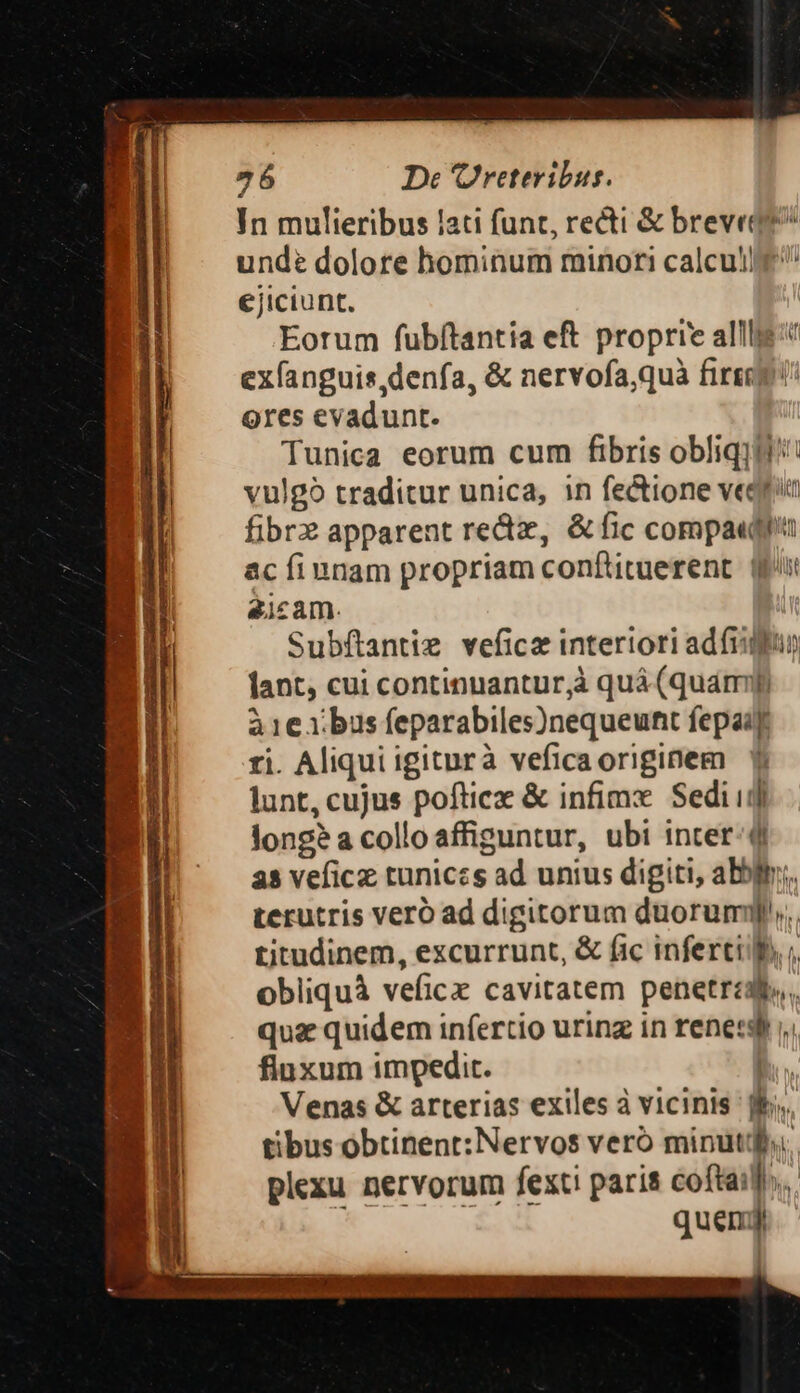 26 De 'Ureteribus. In mulieribus lati funt, recti &amp; breve? unde dolore hominum minori calcul ejiciunt. Eorum fubftantia eft proprie alli exfanguis,denfa, &amp; nervofa,quà firi ores evadunt. Tunica eorum cum fibris obliqii': vulgo traditur unica, in fectione veqti fibr2 apparent redz, &amp; fic compa«fi ac fiunam propriam conftitaerent. gr 2icam. | Subftantie vefica interiori adfigfun lant, cui continuanturjà quá (quami à 1€ 1 bus feparabiles)nequeunt fepaiy ri. Aliqui igiturà veficaoriginem Y lunt, cujus pofticz &amp; infimx Sedi] longe a colloaffiguntur, ubi inter-4i as veficz tuniczs ad unius digiti, abbr; terutris veró ad digitorum duorumyl. titudinem, excurrunt, &amp; (ic infert, ;, obliquà veficxz cavitatem penetréad.,. quz quidem infertio uring in renets i, fluxum impedit. b. Venas &amp; arterias exiles à vicinis ff. tibus obtinent: Nervos veró minutif.. plexu nervorum fexti paris coftail.. E uv oed quem]