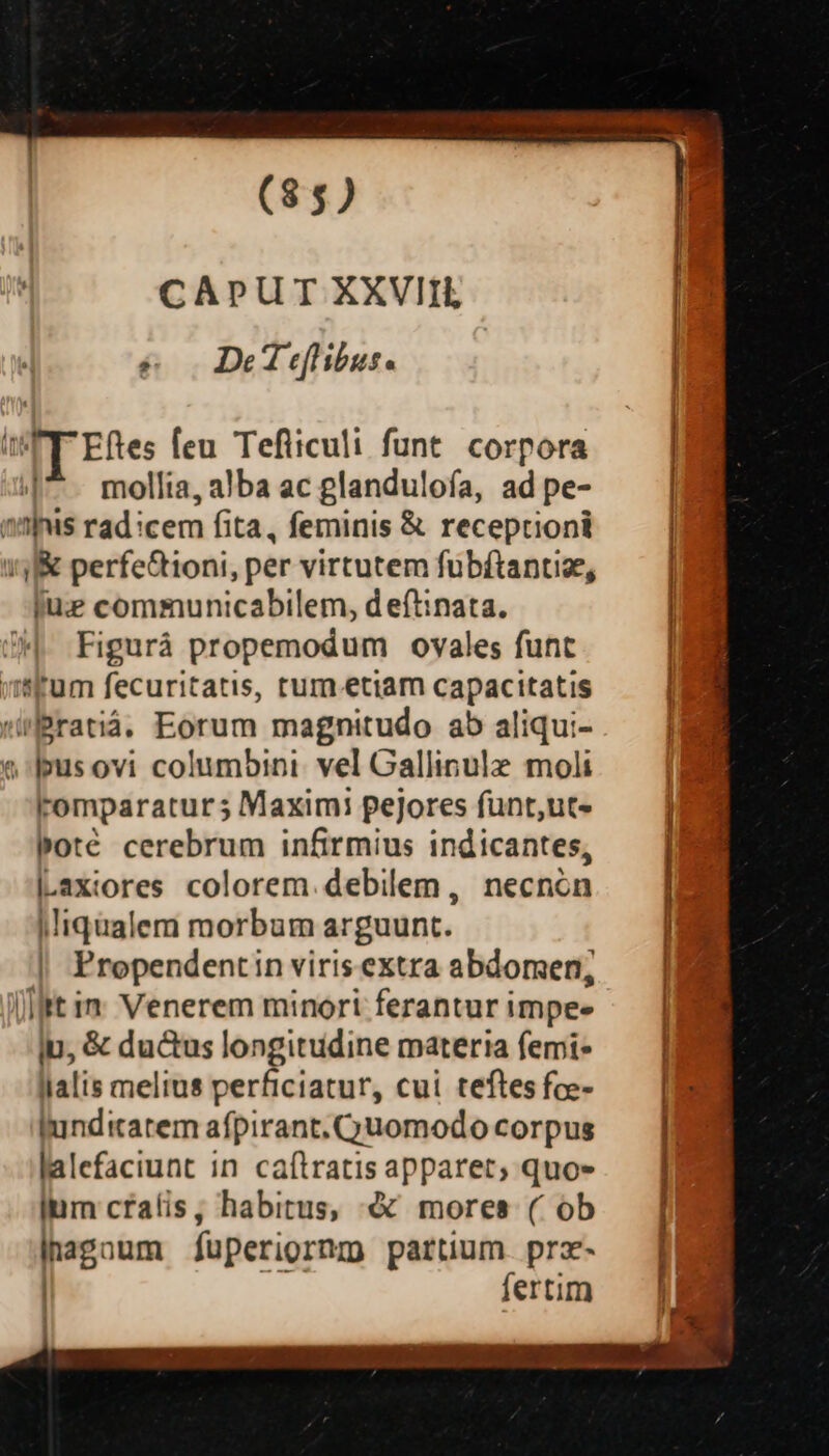 CAPUT XXVIIL T De 1 eflibus« T Efes feu Tefliculi funt. corpora |^. mollia, alba ac glandulofa, ad pe- »Iws rad :cem fita, feminis &amp; receptioni 1 perfe&amp;tioni, per virtutem fuübftantiz, jue communicabilem, d eftinata. Figuráà propemodum ovales funt virum fecuritatis, tum-etiam capacitatis Pratiá. Eorum magnitudo ab aliqui- «fus ovi columbini. vel Gallinule moli Fomparaturs Maximi pejores fünt,ut- poté cerebrum infirmius indicantes, lLaxiores colorem. debilem, necnón jliqualem morbum arguunt. | Propendentin viris extra abdomen, [Iit in Venerem minori ferantur impe- iu, &amp; du&amp;us longitudine materia femi llalis melius perficiatur, cui teftes fce- Iundicatem afpirant.Cjuomodo corpus lalefaciunt in ca(tratis apparet; quo» lum cratis, habitus, € mores ( ob lhagoum füuperiornm partium. prz- fertim Mb apricis