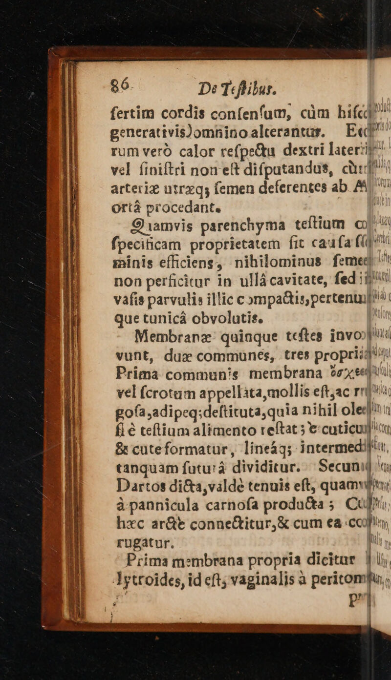 ge D: Tdfhilar. fertim cordis confenfum, cüm hifcd generativis)omninoalterantas, — Ee rum veró calor refpeQu dextri laterzig ^ vel íiniftri noneft difputandus, cüuf arteriz utrxqs femen deferentes ab. AL Orta procedant. | Q1amvis parenchyma teftium. c fpeciticam proprietatem fit caufa f(q^: sinis efficiens, nihilominus femeg '* non perficitur in ullácavitate, fed i$ vafis parvulis illic compa&amp;is;pertenuif!^ que tunicá obvolutis. üt Membrana: quinque tdítes invoojlü vunt, dux communes, tres propriig Prima commun's membrana 5e eeu vel fcrotum appellita,mollis eftjac rri gofa,adipeq;deftituta,quia nihil ole t fl € teftium alimento reftat 5 € cuticudoy &amp; cuteformatur, lineáq; intermedifiu, canquam futu:à dividitur. Secunid ai Dartos di&amp;a,valde tenuis eft, quamvdi à pannicula carnofa produ&amp;a 5. Cui hxc ar&amp;t conne&amp;itur,&amp; cum ea coy rugatur. hii, Prima m:mbrana propria dicitur |i, Jytroides, id eft; vaginalis à peritomfu,, P