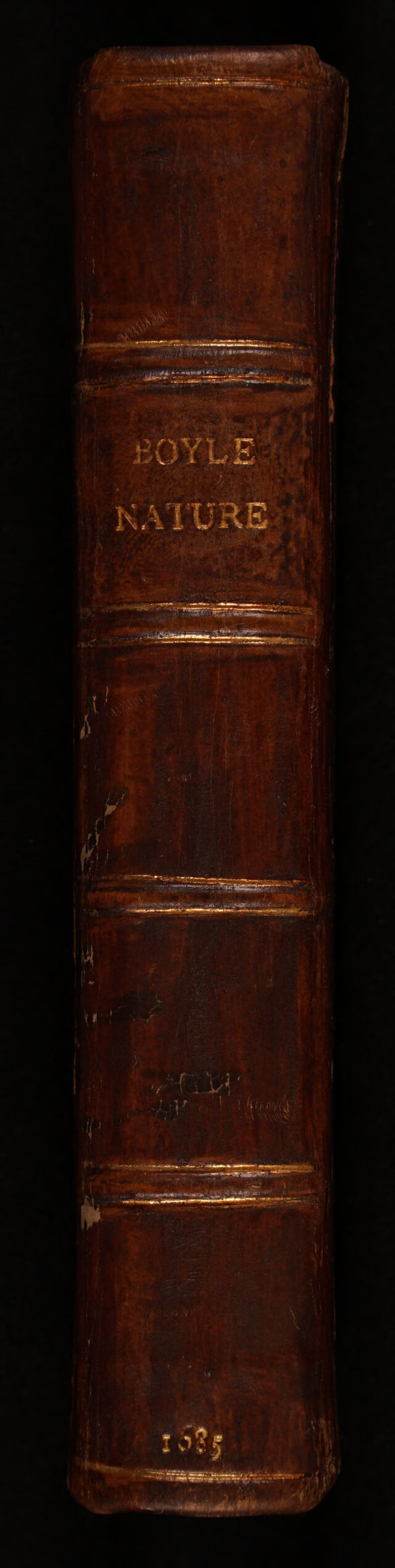 No text description is available for this image