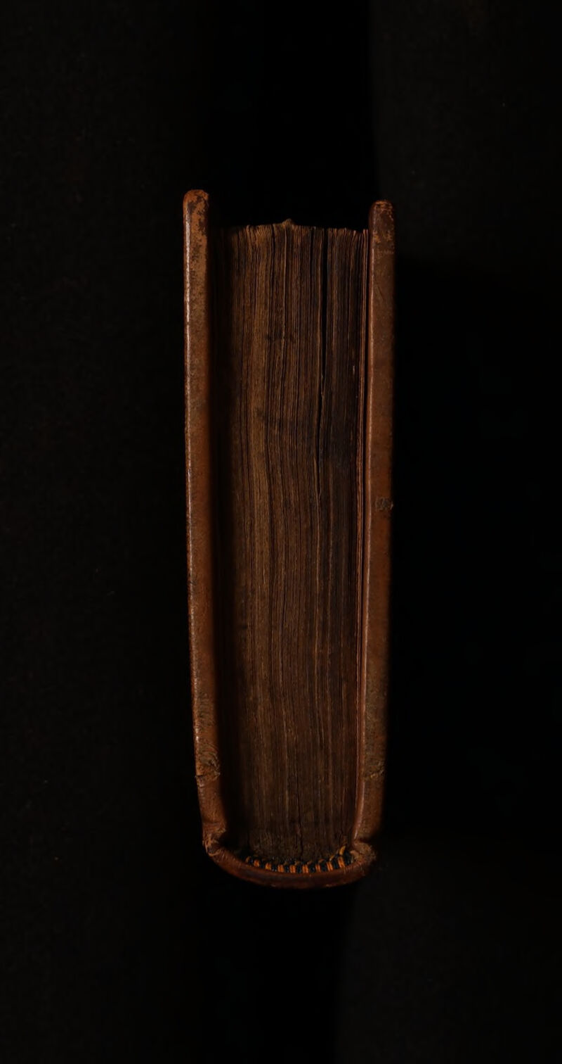 No text description is available for this image