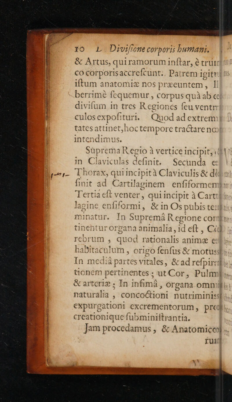 10 L Divifione corporis bumani, iftum anatomiz nc 0S przeuntem, Il berrimé fequemur , corpus quà  eed divifum in tres R cgione íeu ventn ofitt intenc im us. in Claviculas definit, Secunda e fin; it ad Cartilaginem | enfiformen lagine enfif 'ormi,, &amp; in Os pubis te: minatur. In S upremá R egione cor tinehtur organa animal ia , id eft , C &amp; rebrum quod rationalis anim e -— In mediàp artes vitales, &amp; ad refpir: naturalia , conco&amp;ioni Doinini expurgationi excrementorum, pre creationique fubminiltrantia. — ' |