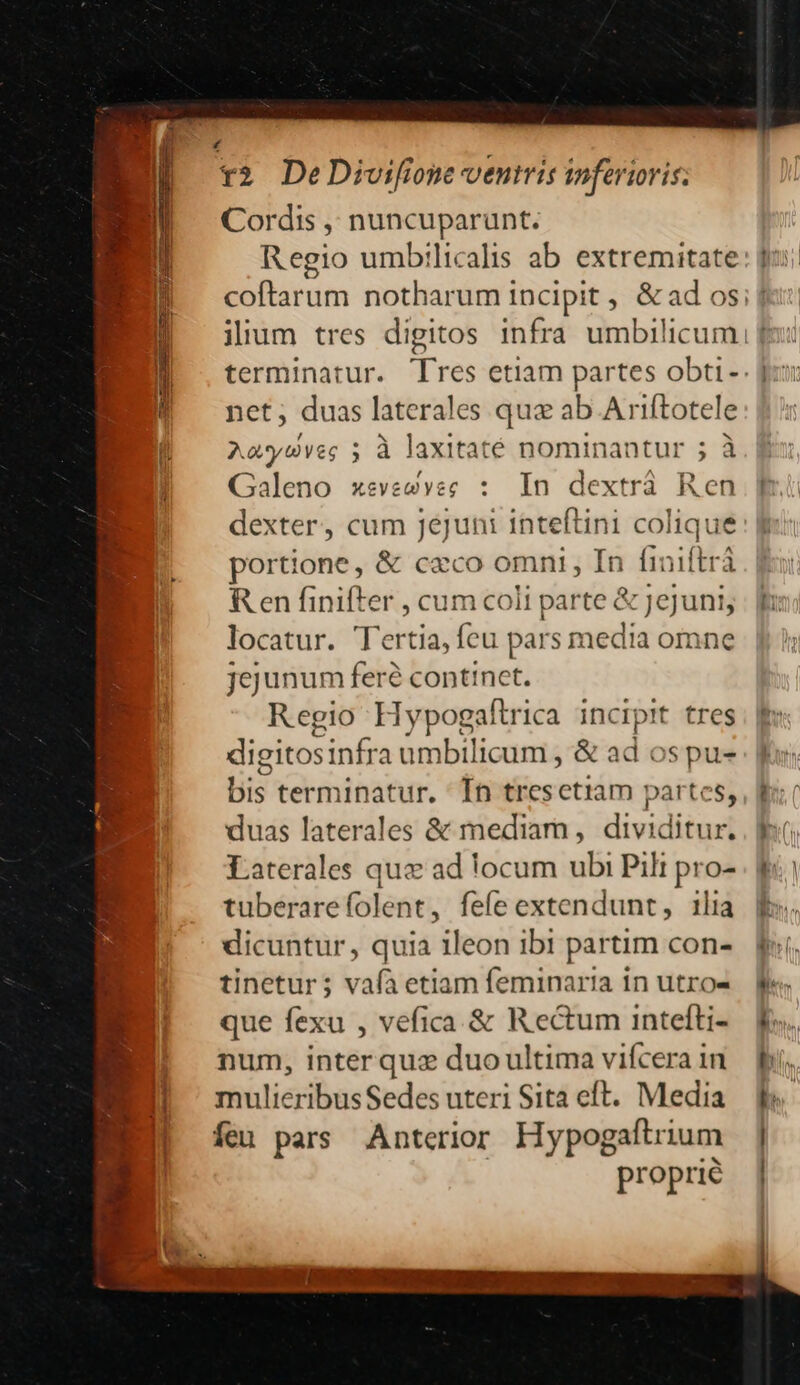 Cordis ,' nuncuparunt. Regio umbtilicalis ab extremitate net; duas laterales quz ab Ariítotele Aaysvec 5 à laxitaté nominantur ; à Galeno xevesvec : In dextrá Ren dexter, cum jejuni inteftini colique portione, &amp; cxco o mni, In finiftrá Ren finifter , cum coli parte &amp; Jejuni, locatur. Tertia, fcu pars media omne jejunum feré continet. Regio Hypogaftrica incipit tres digitosinfra umbilicum, &amp; ad ospu- bis terminatur. Ín tresetiam partes, duas laterales &amp; mediam , dividitur. Laterales quz ad locum ubi Pili pro- tuberare folent , fefe Mr ilia dicuntur, quia ileon ibi partim con- tinetur; vafà etiam feminaria in utros que fexu , vefica &amp; Rectum intefti- num, interquz duo ultima vifcera in mulieribus Sedes uteri Sita eft. Media Íeu pars Anterior Hypogaftrium proprie