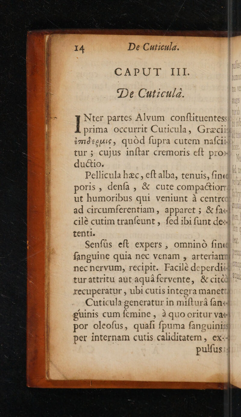 De Cuticula. CAPUT III. 0De Cuticula. ductio. - tenti. necnervum, recipit. Facilé deperdi -—— — p pulfus
