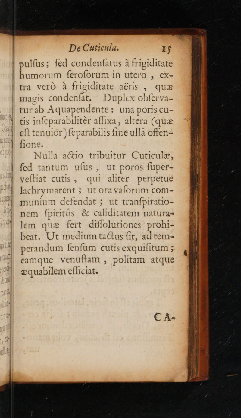 | pulfus; fed condeníatus à frigiditate humorum feroforum in utero , ex- tra veró à frigidi js aéris , quz magis condenfát. Duplex obferva- tur ab Aquapendente : una insi cu- tis in fcpara abilitér affixa, altera (quz eft tenuior) feparabilis fine ullà offen- p e. la aGio tribuitur Cuticulz, fed 1 tantum ufus, ut poros fuper- veftiat cutis , qui aliter perpetue lachrymare: A ut ora valorum com- munium defendat ; ut tranfpiratio- nem fpiritüs &amp; caliditatem epit lem quz fert diffolutiones prohi- beat, Ut medium ta&amp;us fit, ad tem- perandum fenfum cutis exquifitum ; eamque venuftam , politam atque zquabilem efficiat.