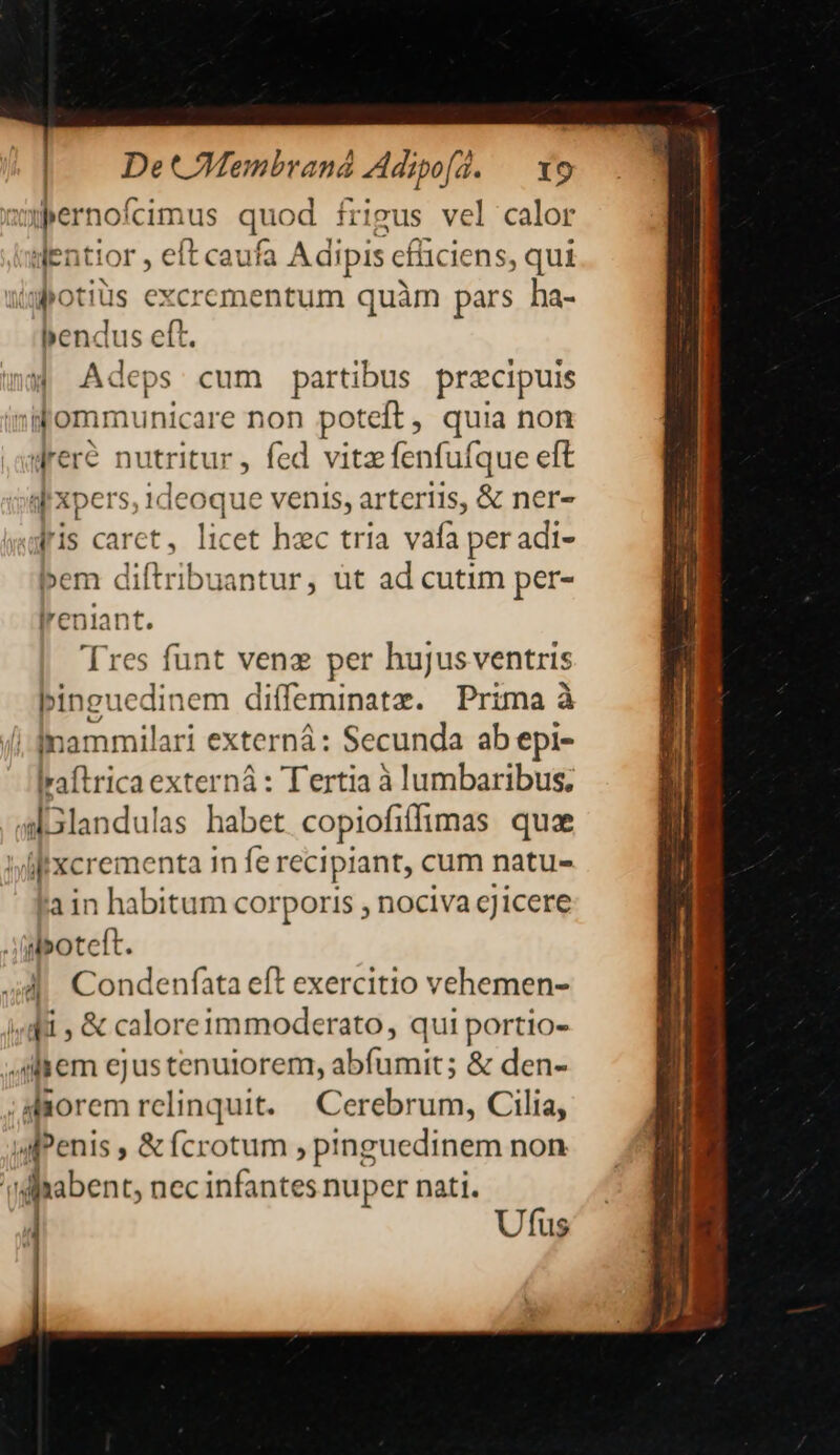 | De CMembraná Adipo[d. — x9 aperno! cimus quod frigus vel calor dentior , eft caufa Adipis cfüciens, qui wgbotiüs excrementum quàm pars ha- bendus eft. 4 Adeps cum partibus przcipuis iifommunicare non poteft, quia non drere nutritur, fed vitz fenfufque eft qe xpers, ideoque venis, arteriis, &amp; ner- (ris caret, licet hzc tria vafa peradi- bem diftribuantur, ut ad cutim per- lreniant. Tres funt vene per hujusventris pinguedinem ir sie Prima à i-Inammilari externá: Secunda ab epi- lraftrica externá : Tertia à lumbaribus; al3landulas habet copiofifhmas quae 'ilxcrementa n fe recipiant, cum natu- à in habitum corporis , nociva c]icere Jilboteft. 4d. Condenfata eft exercitio vehemen- ifii , &amp; calore1mmoderato, qui portio- ilem ejus tenuiorem, abfumit; &amp; den- ;daorem relinquit. | Cerebrum, Cilia, wiPenis ; &amp; Ícrotum , pinguedinem non | fjabent, nec infantes nuper nati. Ufus