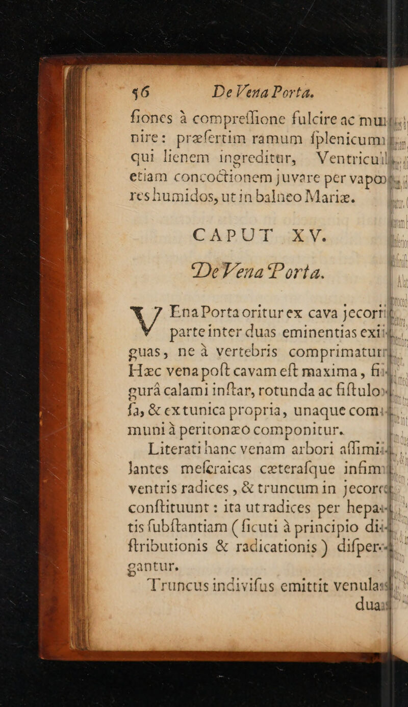 fiones à compreflione fulcire ac mul nire: prefertim ramum plenicumfs qui lienem Ingredittr, Ventriculll.. etiam coni he crga em juvare per vapoops, ; reshumidos, utin balne :o Maria. CAADUT.. V. ODeTeua'Porta. EnaPortaoriturex cava Jecorri parte inter duas eminentias exi guas, ne à vertebris comprimatutr [ Hac vena poft cavam eft maxima , fii gurá calami inftar, rotunda ac iftulo: l- 3, &amp; cx tunica propria, unaque comid. munià peritonzo com ponitur. Literati hanc venam arbori a(Timii Jantes meleraicas ceterafque infim Dp ventris radices , &amp; truncum in Jecored conftituunt : ita ut radices per hepa: 1. tis fubítantiam ( ficuti à principio di44 ftributionis &amp; radicationis ) difper-4 dua ——À