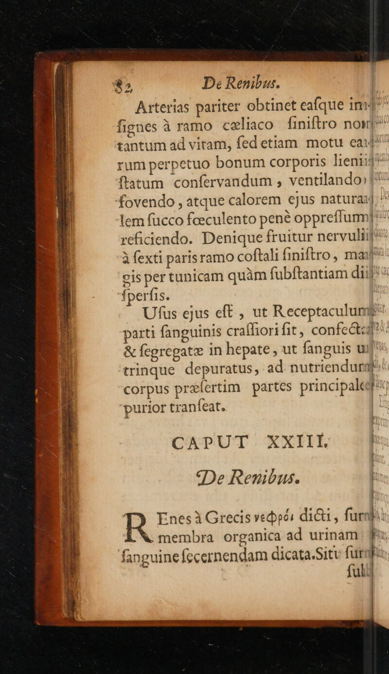 De Renibus. Arterias pariter obtinet eafque im? fignes à ramo celiaco finiftro non] tantum ad vitam, fed etiam motu ea^ rum perpetuo bonum corporis lieniij flatum confervandum , ventilando»? ^ 4e 5 Su and fperfis. Ufus ejus eff , ut Receptaculum parti fanguinis craffiori fit, confectcd &amp; fegregate in hepate , ut fanguis ui] trinque depuratus, ad nutriendurql^. corpus prefertim | partes principale purior tranfeat. CAPUT. XXIII. h 9eDe Renibus. T) Enesà Grecis vedpéi dici , funi! membra organica ad urinam [ fanguine fccernendam dicata.Sitv furmf: fulij