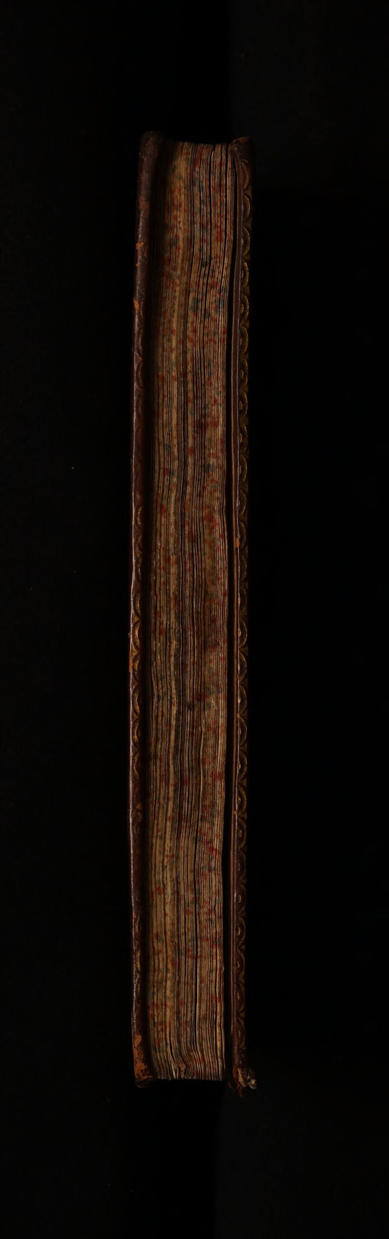 No text description is available for this image