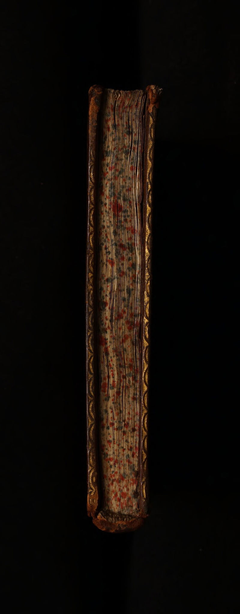 No text description is available for this image