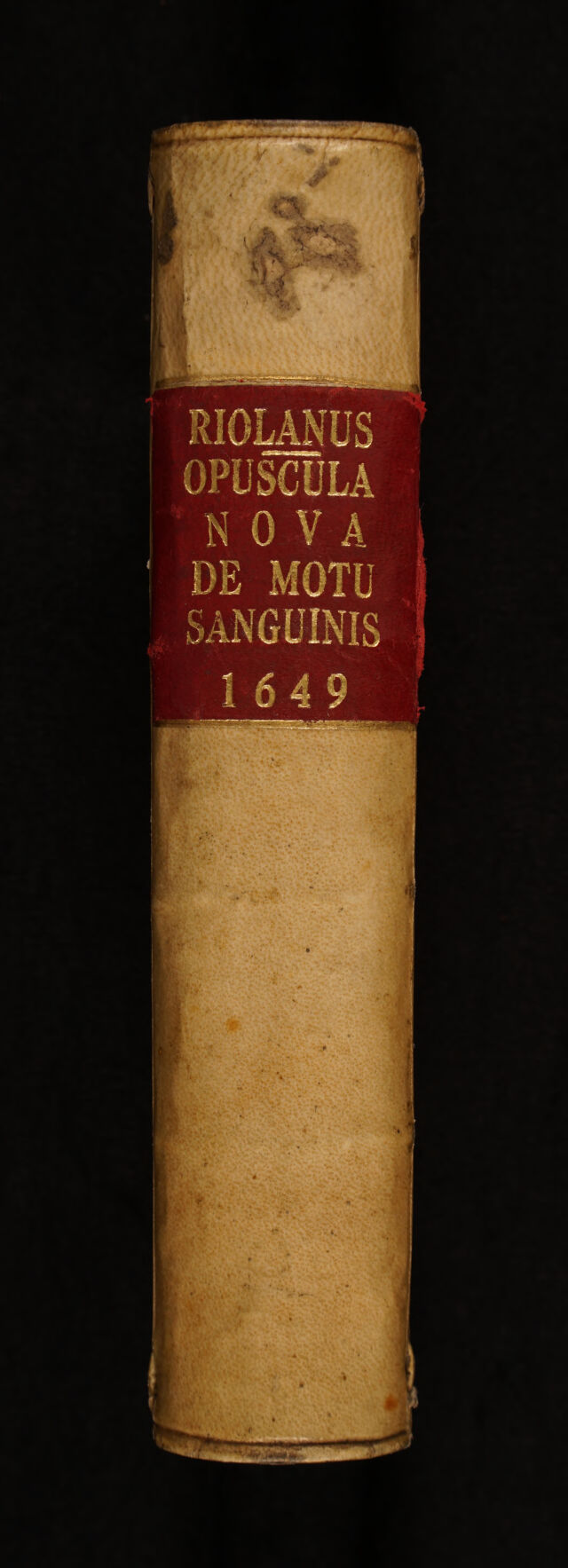 No text description is available for this image