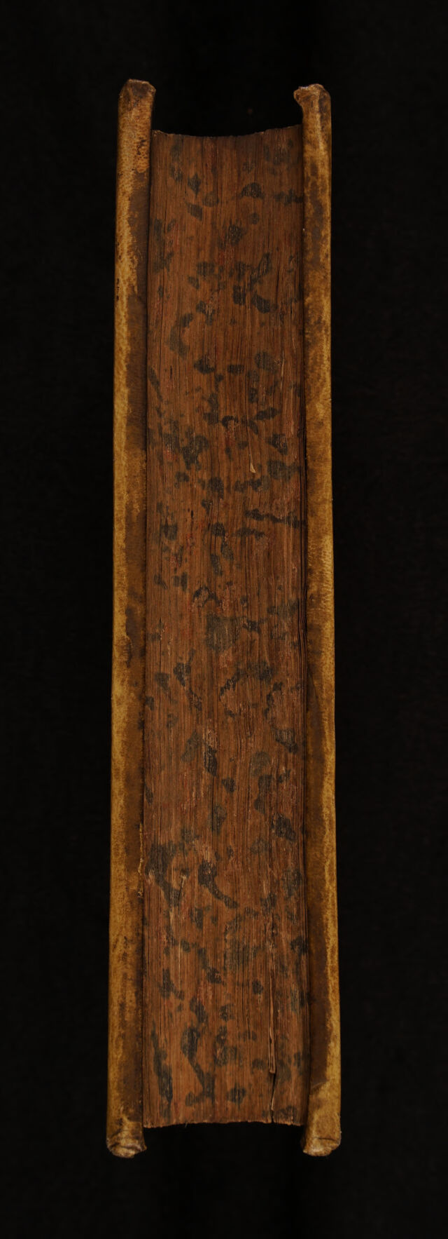 No text description is available for this image