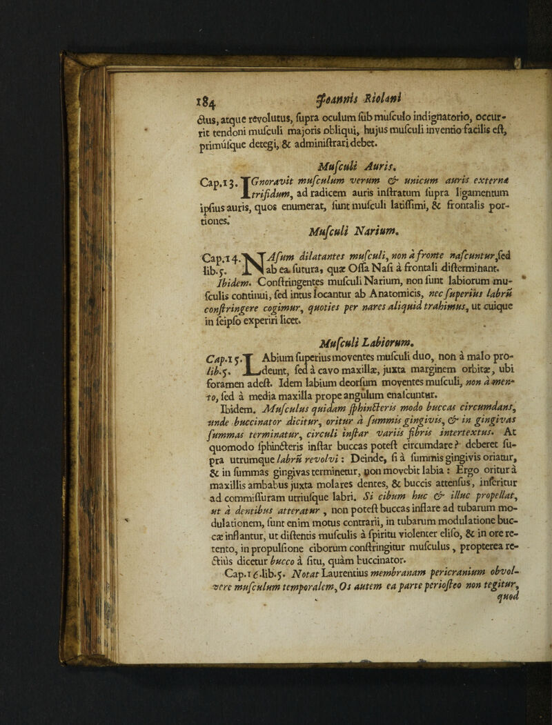 ig^ $6Annis RtoUnl 6lus, atque revolutus, fupra oculum fubmufculo indigriatorio, occur¬ rit tendoni mufculi majoris obliqui, hujus mufculi inventiofacilis eft, primulque detegi, & adminiftrari debet. Mufculi Auris, Cap.i 3* 'TGnoravit mufculum verum & unicum auris externi, JL trifidum i ad radicem auris inftratum fupra ligamentum iprius auris, quos enumerat, funt mufculi latiflimi, & frontalis por¬ tiones.' Mufculi Narium. Cap.^fVT Afum dilatantes mufculi, non a fronte nafcunturfeA lib. 5. IN ab ea. futura, quar Offa Nafi a frontali difterminant. Ibidem. Conftringentes mufculi Narium, non funt labiorum mu- fculis continui, fed intus locantur ab Anatomicis, nec [uberius labris confringere cogimur, quoties per nares aliquid trahimus, ut cuique in feipfb experiri licet. Mufculi Labiorum. Cap.i j.T Abium fupcrius moventes mufculi duo, non a malo pro- lib^. JLfdeunt, fed a cavo maxillas, juxta marginem orbitae , ubi foramen adeft. Idem labium deorfum moventes mufculi, non dmen* to, fed a media maxilla prope angulum enaicuntur. Ibidem. Mufculus quidam Jpbintteris modo buccas circumdans, unde buccinator Aicitur, oritur a fummis gingivis, & in gingivas fummas terminatur, circuli infar variis fbris intertextus. At quomodo Iphin&eris inftar buccas poteft circumdare? deberet fu¬ pra utrumque labru revolvi: Deinde, fi a fummis gingivis oriatur, & in fummas gingivas terminetur, yon movebit labia : Ergo oritur a maxillis ambabus juxta molares dentes, & buccis attenfus, inferitur ad commiffuram utriufque labri. Si cibum huc & illuc propellat, ut d dentibus atteratur , non poteft buccas inflare ad tubarum mo¬ dulationem, funt enim motus contrarii, in tubarum modulatione buc¬ ca: inflantur, ut diftentis mufculis a fpiritu violenter elifo, 8t in ore re¬ tento, in propulfione ciborum conftringitur mufculus, propterea re¬ frivis dicetur bucco a fttu, quam buccinator. Cap.iddib.5. Notat Laurentius membranam pericranium obvol¬ vere mufculum temporalem. Os autem ea parte periofleo non tegitur, quod