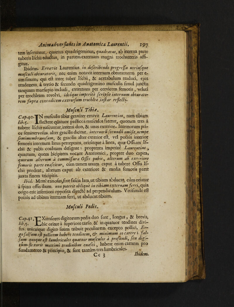 tem inferuntur, -quartus quadrigeminus, quadratas, ab interna parte tuberis Ifchii cdu6lus, in partem externam magni trochanteris affi¬ gitur. Ibidem. Erravit Laurentius in defer ibendo progreffu utriufque mufculi obturator is, nec enim notavit internum obturatorera per e- umhnumj qui eft inter tuber Ifchii, & acetabulum traduci, ejus tendonem, a tertio & fecundo quadrigemino muiculis fimul jundtis tanquam marfupio includi, externum per cervicem femoris, veluti per trochleam revolvi, ideo que imperite fcripfit internum obturato- rem fupra coxendicem extrorfum trochlea jnftar reflexu Mufculi Tibi** C^.40.TN mufculis tibiae graviter erravit Laurentius, nam tibiam Hb.^% Afleilerequatuor pofticcsmuiculos fatetur, quorum tres a tubere Ifchii nalcuntur,interni duo, & unus exterior. Internorum pri- or feminervofus alter gracilis dicitur, inter nor u fecundu omifit,nempe femimembranofum, & gracilis alter exterior eft, vel potius interior femoris internum latus perreptans, oricurque a linea, quae Offiam If¬ chii & pubis coalitum defignat: propterea imperite Laurentius , quartum^ quem bicipitem vocant Anatomici, propter duo capita, quorum alterum a commi fur a Offis pubis, alterum ab' exteriore femoris parte ena feitur, cum tamen unum caput a tubere Offis If¬ chii prodeat, alterum caput ab exteriore & media femoris parte juxta finem tricipitis. t Ibid. Membranofus/ive fafeia lata,ut tibiam abducat;, cum oriatur a fpina offis ilium, non poterit oblique in tibiarm externam ferri, quia origo erit inlertioni oppofita diredte ad perpendiculum. Verifimile eft potius ad tibiam internam ferri, ut abducat tibiam. Mufculi Pedis, Cap*4T Xtenfores digitorum pedis duo funt, longus, & brevis, lib.5. JLlhic oritur a fuperiore tarla &: inquatuor tendines divi» fus, unicuique digito filum tribuit peculiarem excepto polhci. Er¬ go falfum e(l pollicem habere tendinem, & minimum eo carere • fftlg fum quoque eft lumbricales quatuor mufculos a profundi, feu digi¬ tum-flexoris maximi tendinibus enafei, habent enim carnem, pro fundamento & principio, & funt tantum tres lumbricales. , C c 3 Ibidem,