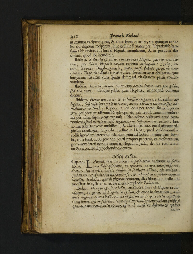 ut manum excipere queat, & ab eo fpecu quatuor, aut quinque cana¬ les, qui digitum reciperent, huc & illuc feruntur per Hepatis lubftan- tiam: his cavitatibus lordes Hepatis cumulantur, &■ in portione illa omenti, quod ibi intruditur. Ibidem, Ridicula efl ratio, cur convexa Hepatis pars arteriis ca¬ veat , qua folam Hepatis cavam tantum attingunt : (ffuia, in¬ quit , convexa Diaphragmatis , motu quafl flabello perpetuo ven¬ tilatur. Ergo flabellatio (i fieri pofiet, locum arteria obtineret, quas fanguinem vitalem cum fpiritu defert ad vitalitatem partis conler- vandam. Ibidem. Interea notabis convexum accipi debere non pro gibbo, fed pro cavo, ideoque gibbo pars Hepatis, improprie convexa dicitur. Ibidem. Hepar uno tereti & validiffimo ligamento, phrenibus al¬ ligatur fujpenforium vulgus vocat, altero Hepatis latera cofi is ad- netiuntur & lumbis. Reperio tamen jecur per totam fuam fuperio- rem peripheriam affixum Diaphragmati, per revolutionem membra¬ nae peritonaei fupra jecur expaniae : Nec adhuc oblervavi apud Ana¬ tomicos iflud fittitium teres ligamentum fujpen forium vocari , hoc • nomen tribuitur venae umbilicali, & alteri ligamento quod affixum xi- phoidi cartilagini, fulpcndit revellitque Hepar, quod quidem nothis eoftis interdum interventu filamentorum adne&itur, neutiquam lum¬ bis, quia lumbos tangere non potefi propter pancreas, & mefenterium, portionem intefiinorum tenuium. Hepati fubjecia,. deinde totumlati- tat &; reconditur hypochondrio dextro. Veftca Felletu. Cap.20. T Aurentius ita accurate dijpofitionem villorum in folli« lib. 6. I icula fellis defer ibit, ut operanti natura interfuiffe vi¬ deatur* Intus rettos habet, quibus in fe bilem allicit, & obliquos, quibus retinet, foris autem.tranfverfos, & orbiculares quibus eandem expellit, Auda&er quovis pignore certarem, illas fibras non pofle de- monftrari in cyfti fellis, ac eas merito explodit Fallopius. Ibidem. De expurgatione fellis, an dirette fluat ab Hepate in du¬ odenum, an potius ab Hepate in cjfiim, & ab ea in duodenum , ani¬ mose difputat contra Fallopium,qui fiatuit ab Hepate reBa expelli in inteflinum, cyflim felleam tanquam diverticulum e xtruBam fui (fle,fl quando, commeatus bilis dr ingrejflus ab inteftino diflento & oppleto inter- /