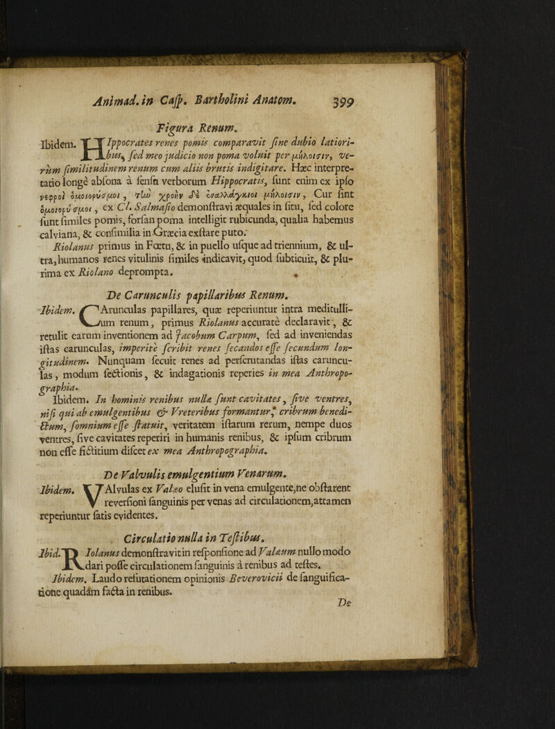 Figura Renum. Ibidem. T T Ippoc rates renes pomis comparavit fine dubio latiori- Idibus, fied meo judicio non poma voluit per [Ahoifiv, ve¬ rum fimilitudinem renum cum aliis brutis indigi t are. Hsec interpre¬ tatio longe abfona a fenfn verborum Hippocratis, funt enim ex ipfo vsippoi 5 tIu> X?°*1V ^ hictT^dymot [inhouriv > Cur ftnt o/xo/op J eryiQt, ex Cl* Salmafio demonftravi aquales in fitu, led colore funtftmiles pomis, fbrfan poma intelligit rubicunda, qualia habemus calviana, 8t conftmilia in Gr^cia exftare puto. Riolanus primus in Foetu, 8c in puello ufque ad triennium, & ul¬ tra, humanos renes vitulinis fimiles indicavit, quod fubticuit, & plu¬ rima ex Riolano deprompta. * De Carunculis papillaribus Renum. V—/um renum, primus Riolanus accurate declaravit , & retulit earum inventionem ad facobum Carpum, fed ad inveniendas iftas carunculas, imperite ficribit renes fecandos ejfe fiecundum lon¬ gitudinem. Nunquam fecuic renes ad perferutandas iftas caruncu¬ las, modum fe&ionis, & indagationis reperies in mea Anthropo~ graphia. Ibidem. In hominis renibus nulla fiunt cavitates, Jive ventres, ni fi qui ab emulgentibus & Vreteribus formant urp cribrum bene di- ttum, fiomnium ejfe fiatuit, veritatem iftarum rerum, nempe duos ventres, five cavitates reperiri in humanis renibus, & ipfum cribrum noneffe fi£Htium difeet^ mea Antbropographia* Ve Valvulis emulgentium Venarum. Ibidem. \ TAlvulas ex Valm elufit in vena emulgente,ne obftarent V reverfioni (anguinis per venas ad circulationem,attamen reperiuntur latis evidentes. . Circulatio nulla in Tefilibus. Ibid.TJ Iolanus demonftravit in relponftone ad Valaum nullo modo X\.dari po(Te circulationem fanguinis a renibus ad teftes. Ibidem. Laudo refutationem opinionis Beverovicii de fanguifica- tione quadam fadta in renibus. Ve