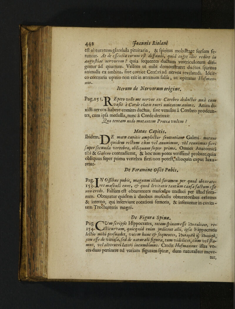 443 Ffeannts Riolanl 6ft obturatum glandula pituitaria, & ipiritus mobilitare furfum fe¬ runtur. At de ejj'enti a eorum e fi diffundi, quid coget illos redire in anguftias nervorum 'i quia fequentes du&um ventriculorum diri¬ gentur ad quartum. Vellem ut mihi demonftraret duftus fpiritus animalis ex ambitu, five cortice Cerebri ad nervos revehendi. Idcir¬ co contraria opinio non erit in aeternum faifa, ut opinatur Hof 'man¬ nus. Iterum de Nervorum origine. Pag.i5T.TJ E feto velle me nervos ex Cerebro deduFlos una cum JiX^vafis e Corde elatis tueri unitatem anima. Antea di- xifti nervos habere comites dudlus, live venulas a Cerebro prodeun¬ tes, cum ipla medulla, nunc a Corde derivas: fifiuo teneam nodo mutantem Protea vultus l m Motus Capitis. Ibidem.TX E motu capitis ample Flor fententiam Galeni. motum JlJquidem retium cum vel annuimus, vel renuimus fieri fuperfecunda vertebra, obliquum fuper prima. Omnes Anatomici tibi & Galeno contradicent, & hoc non potes veriflime probare5quia obliquus fuper prima vertebra fieri non potefi,*alioquin caput luxa¬ retur* De Foramine offis Pubis. Pag.T N Offibus pubisr magnum illud foramen per quod obturate- 153 *Y.res mufculi eunt, & quod levitatis tantum caufa facium effe non credo, Falfum eft obturatores mufculps traduci per ifiud fora¬ men. Obturatur quidem a duobus mufculis obturatoribus externo & interno, qui inferviunt rotationi femoris, & inferuntur in cavita - tem Trochanteris magni. D De Figura Spina. Pag /ff^Vm feripfit Hippocrates, totam(pinameffe iov, re- i^^.\^jElicurvam, quicquid enim judicent alii, ipfa Hippocratis letlio mihi perfundet, vocem hanc & fequentes > i,%Aopcfl« ^ i Suwpn non effe de vitiofaffed de naturali figura, tum videlicet,cum vel fia¬ mus, vel alterutri lateri incumbimus. Credit Hofmannus i fias vo¬ ces duas pertinere ad variam figuram fpinac, dum naturaliter move-