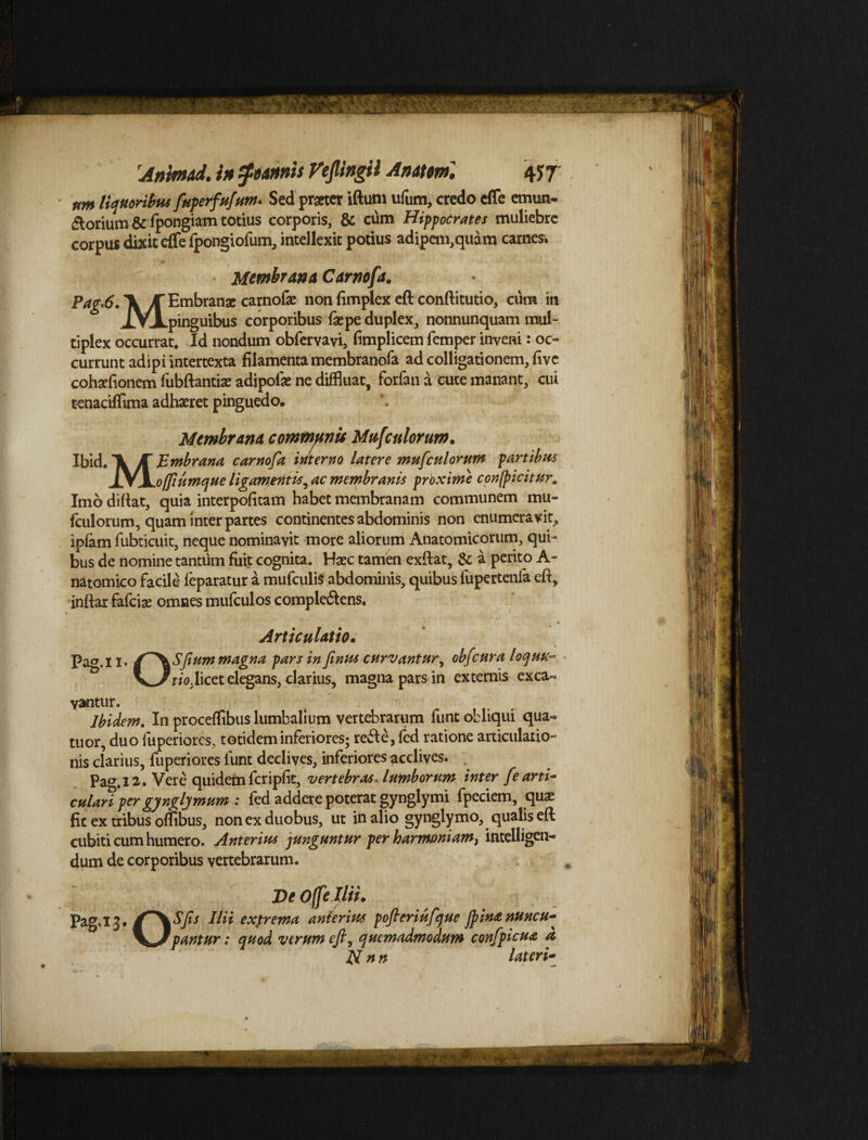 'Animad. i» foimis Vejlingtl Anatem'. 4J7 rtm liquoribus fuperfufum* Sed praeter iftum ufum, credo effe emun¬ ctorium & fpongiam totius corporis, & cum Hippocrates muliebre corpus dixit effe fpongiofum, intellexit potius adipem,quam carnes. Membrana Carnofa. Pag*6. A \ Embrange carnofa: non fimplex eft conftitutio, cura in JVXpinguibus corporibus fsepe duplex, nonnunquam mul¬ tiplex occurrat. Id nondum obfervavi, fimplicem femper inveni: oc¬ currunt adipi intertexta filamenta membranofa ad colligationem, live, cohaeftonem fubftantiae adipoiae ne diffluat, forfan a cute manant, cui tenaciflima adhaeret pinguedo. Membrana communis Mufculorum. MBmbrana carnofa interno latere mufculorum partibus offiumque ligamentis, ac membranis proxime confpicitur. Imo diftat, quia interpofitam habet membranam communem mu¬ fculorum, quam inter partes continentes abdominis non enumeravit, ipfam fubticuit, neque nominavit more aliorum Anatomicorum, qui¬ bus de nomine tantum fuit cognita. Hasc tamen exftat, & a perito A- natomico facile feparatur a mufculis abdominis, quibus fupertenfa eft, inftar fafeiae omnes mufculos comple&ens. Articulatio• Pag.l j. /^\Sfium magna pars in finus curvantur, obfcura loqm~ V-J^r/fljlicet elegans, clarius, magna pars in externis exca¬ vantur. t -f?. Ibidem. In proceflibus lumbalium vertebrarum funt obliqui qua- tuor, duo fuperiores, totidem inferiores; refie, fed ratione articulatio- nis clarius, fuperiores funt declives, inferiores acclives. Pa^.12. Vere quidem fcripfit, vertebras, lumborum inter /e arti¬ culari per gyngljmum : fed addere poterat gynglymi fpeciem, qua: fit ex tribus oflibus, non ex duobus, ut in alio gynglymo, qualis eft cubiti cum humero. Anterius junguntur per harmoniam^ intelligen- dum de corporibus vertebrarum. De OjfeJlii. Pag,!3. Ilii extrema anterius pofteriufque Jpinanuncu- Vantur: quod verum eft. quemadmodum confpicua a Nnn lateri-