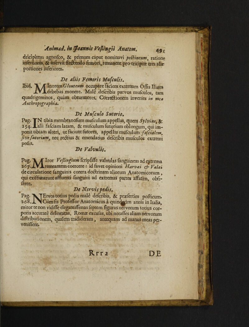 Anlnud. in $o&nnis WejUngH Anatem» ^pt dricipitem agnofeo, te primum caput nominavi peEHneum, ratione iniercionis, te infervitfle&endo femori, remanent pro tricipite tres alir • portiones inferiores. De aliis Femoris Mufculis. Ibid. Inorem Glouteum occupare faciem externam Offis Iliunt JLVJLdebebas monere. Male deferibis parvos mufculos, tam quadrigeminos, quam obturatores. Corregionem invenies in ma A nthropograpbia* De Mufculo Sutorio. Pag. TN tibiamembranofum mulculum appellas, quem Sylvius, te 2 54. Xalii fafeiam latam, te mulculum futorium oblongum, qui im¬ ponit tibiam alteri, ut faciunt futores, appellas mufculum fafeiatem, five futorium, nec re&ius te emendatius deferibis mufculos extremi pedis. De Valvulis. Pag. *\yT Iror Veflinginm fcripfifTe valvulas fanguinem ad extrema 2 67.jLVAremeantem coercere: id favet opinioni Harv&i &VaUi de circulatione fanguinis contra do&rinam aliorum Anatomicorum , qui exiftimarunt affluenti fanguini ad extremas partes affatim, obfi» fiere. De Nervis pedis. Pag. ^TErvos totius pedis male deferibis, te prsefertim pofficum. 268.X^1 Cum fis Profeffor Anatomicus a quincj^im annis in Italia, miror tenon vidiffe elegantiffimas feptem figuras nervorum totius cor¬ poris accurate delineatas, Roma? excufas, ubi notaffes aliam nervorum diftributionem, qualem tradideram, antequam ad manus meas per- veniffent. Rrr 2 DE
