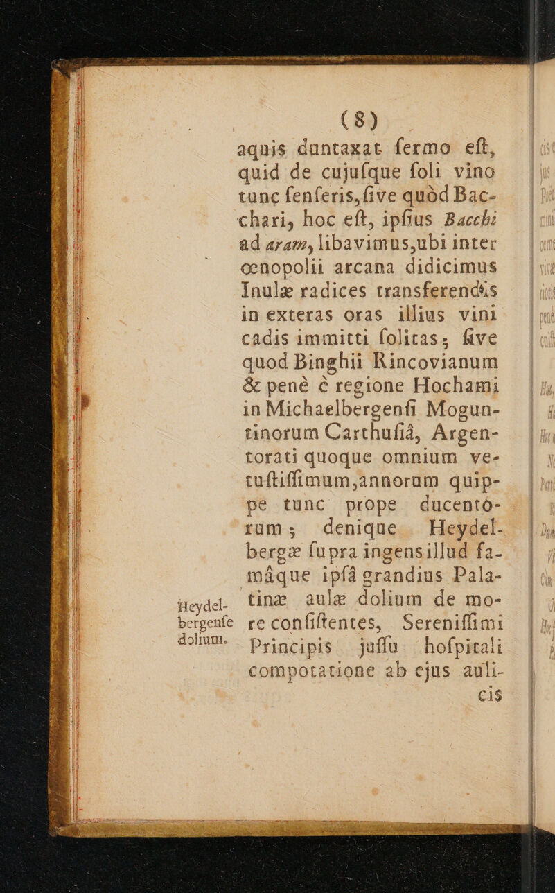 Heydel- bergeníe dolium. (8) aquis duntaxat fermo eft, quid de cujufque foli vino tunc fenferis,five quod Bac- ad aram, libavimus,ubi inter cenopoli arcana didicimus Inule radices transferencts in exteras oras illius vini cadis immitti folirass five quod Binghii Rincovianum &amp; pené é regione Hochami in Michaelbergenfi Mogun- tinorum Carthufià, Argen- torati quoque omnium ve- tuftiffimum,annorum quip- pe tunc prope ducento- rums denique . Heydel- bergz fupra ingensillud fa- máque ipfíà grandius Pala- tine aule dolium de mo- re confitentes, Sereniffimi Principis | juffu.— hofpirali compotatione ab ejus auli- C1$