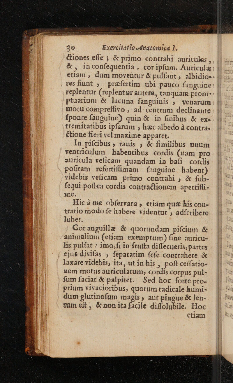 &amp;iones effe ; &amp; primo contrahi auricules , &amp;, inconfequentia , cor ipfum. Auriculae etian , dum moventur &amp; pulfant , albidio-. . resfiunt ; prafertim. ubi pauco fanguine replentur (replentur autem, tanquam prom- ptuarium &amp; lacuna fanguinis ; venarum motu compreflivo , ad- centrum declinante fponte fanguine) quin &amp; in finibus &amp; ex- tremitatibus ipfarum ; hzc albedo à contra- &amp;ione fieri vel maxime apparet. In pifcibus, ranis ; &amp; fimilibus unum ventriculum habentibus cordis (nam pro auricula veficam quandam in bafi cordis poltam refertiflüdmam — fznguine habent) videbis veficam primo contrahi ; &amp; fub- fequi poflea cordis contra&amp;tionem apertiffi- ne. Hicà me obfervata, etiam quz his con- trario modo fe habere videntur , adfcribere lubet. | Coranguille &amp; quorundam pifcium &amp; animalium (etiam exemptum) fine auricu- lis pulfat * imo,fi in frufta diffecueris;partes ejus divifas , feparatim fefe contrahere &amp; laxare videbis, ita, ut in his , poft ceffatio- nem motus auricularum, cordis corpus pul- fum faciat &amp; palpitet. Sed hoc forte pro- prium vivacioribus, quorum radicale humi- dum glutinofum magis; aut pingue &amp; len- tum eft, &amp; non ita facile diffolubile. Hoc etiam