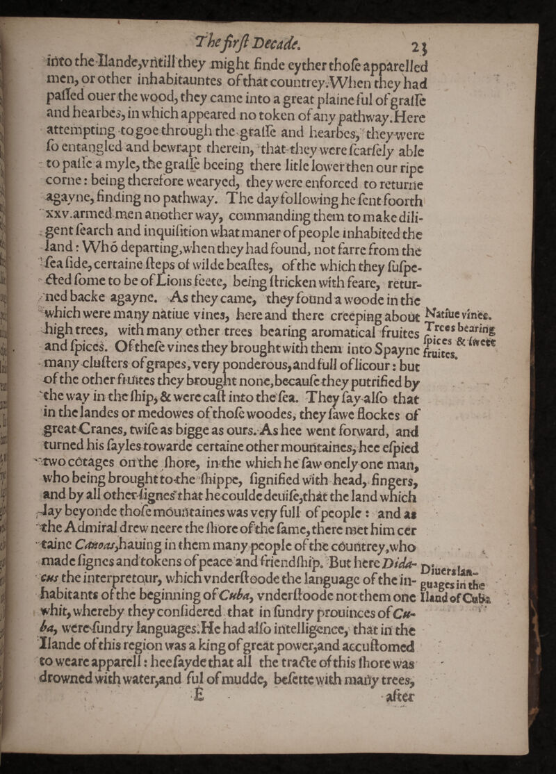 fe! (f fhejirft Decade. 2; irtto the IIande,vritiJl they might finde eyther thoie apparelled men,mother inhabitauntes ofthatcountrey- Wlientheyhad palled ouer the wood, they canic into a great plaineful of grallc and hearbcjj in which appeared no token of any pathway.Here attempting to goethrough the grairc and hearbcs, -they were fo entangled and bcvvrapt therein, 'that-they were fcarreJy able : to pallc a mylc, the gralle bceing there litlelowef then cur ripe come: being therefore wearyed, they were enforced to returne agayne, finding no pathway. The day following he fent foorth' ' xxv.armed men another way, commanding th«n to makcdili- i gent learch and inquifition what maner of people inhabited the - land: Wh 6 departing,when they had found, not farre from the 5feafide,certaineftepsof wildebeaftes, of the which they fufhe- ' ^ed Ibme to be of Lions feete, being Ifricken with feare, retur- / ned backc agayne. As they came, they found a woodc in the which were mapy natiue vines, here and there creeping about vinite. high trees, with many other ,trees bearing aromatical fruites - and (pices. Ofthcle vines they brought with them into Spaync many clufters ofgrapes, vciy ponderous, and full oflicour: but ofthc other fiUites they brought none,becau(c they putrifiedby chew ay in the (hip, & were caft into the fta. They fay alfo that in the landcs or medowes of thole wpodes, they (awe flockes of great Cranes, twile as bigge as ours. As hee went forxvard, and turned his (ayles towarde certaine other mouUtaincsj hec elpicd ''twocOtages oitthe .lhorc, in thc which he (aw onely one man, who being brought tothe ^lhippc, fignified with hcad,hngers, and by all othcrJignes'thathe cGuldcdcui(c,that the land which -Jay beyonde thofe mPuUtaincs was very full ofpeople; and as ^^he Admiral drew neerc the (liorc of the fame, there met him ccr •taincG«8r«74i'diauinginthcmmanypcoplcoftliec(S»uritrcy,who • made (igncsand tokensofpcace and fricndllii'p. But here D' i CHS the interpretour, whrch vnderftoode the language of the in- the habitants of the bcgimiing of C»^<t, vnderftoode not themone whit, whereby they confidcred that in (undry prouinccs of C«-  ‘ ba, werc-Jund ry languagesiHe had al(b intelligence, that in the Ilandc ofthis region was a king of great powerjand accuftomed * ■ towcarcapparcll:hce(aydethatalI the tragic of this (bore was drowned with water,and ful of mudde, beiette with raaUy treesj E after