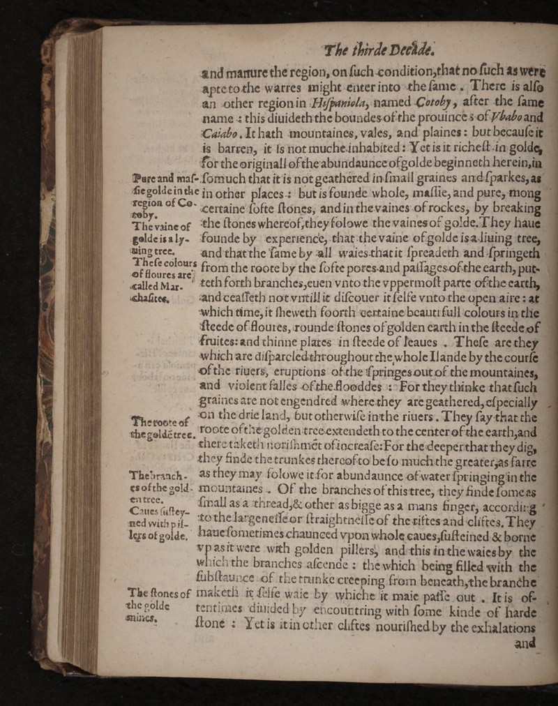 tn<3 manure the region, on j(uch-conclition,that no/lich as vverie aptetotlic warres might enter into the fame . There is alio an other region in named , after the fame name : this diuideth the boundesofthe prouince i oivy^o and 'Caiabo. It hath mountaines, vales, and plaincs: but becauie it IS barren, it is notmuche inhabited: Yet is it richefl:-in gold<^ for theorjginall ofthe abundaunceofgolde beginneth herein,ia IParcandma;f-;fomuchthatitisnotgcatheredinfmallgraincs andiparkes,a« iiegol'ie in tkc other places i but is founde whole, mallie, and pure, mong eertaine fofte ftones, andin thevaincs ofrockes, by breaking Thevaineof '^hc ftoneswhereofitheyfbiowe thevainesofgolde.Thcy haue -g®ldc i» a ly. ;foundc by expenene'e, that the vaihe ofgoldc is a-liuing tree, ^ng tree. «nd thatthe fame by -all waies thatit Ipreadeth and Ipringeth of floures arc’^ from the roote by the ibfte porcs-and pain^es-oftheearth,put- ^alled Mar. ^ forth branches,euen vnto the vppermoft parte ofthe cartli^ •shafitea. .andceaireth not-viTtill it dilcouer itfelfe vnto the open aire: at which time, it fliewcth foorth 'certainc bcauti full colours in the ;ftecdcofflouies,iroundeiftones of golden earth in the llecdc of fruites: and thinne plates in ftcede of Ifeaues , Thefe arc they . * which arc diiparcledthroughout the whole Ilande by the couric ! , : ■ ofthe riuers, eruptions olthe fpringes out of the mountaines, • and violent falles ofthe-flooddesFor theytliinkc that fuch ^ S^'^inesarenotengendred whcr-cthey arcgeathered,cfpccially , Thcrooteof thedrieland, butothcrwileinthe huers.They fay that the Ehegalditrec. ofthe goldentrceextendethto the center ofthe earth,and dieretaketh !jorii]^mctofil^c^eafe;Forthcdceperthat they dig, ■ they hnde the trunkes thereof to bcfomuchthegrcater,asfarr.c Thc’»ranch- astheymay folowe itfor abundaunce of water Ipringingin the csof the gold, mountaincsOf the branchesof thistree, thcyfinde fomcas Canerru^evw ^ Other asbiggeasa mans finger, according ' nedvvithpH- ^^'theJargeneilcor flraightneircofthc-riftesandchftcs.They le/s ot goldc.' hauefometimeschaunced vpoa whole eaues,fuftcined & borne vp as it were with golden pillers^ and this in the waies by the wlncii the branches alcende ; the which being filled tvith the fiibftaunce of the trunkc creeping from beneath,the branchc * I j ef ^ I ^ a ic by vvbichc it maic paife out . It is of- thcooldc tenti.mcs dinidcd by enconbtring with fomc kindc of harde frone i Yetis it in other chfees nourifhedby the exlulatioiw •and sniiva.