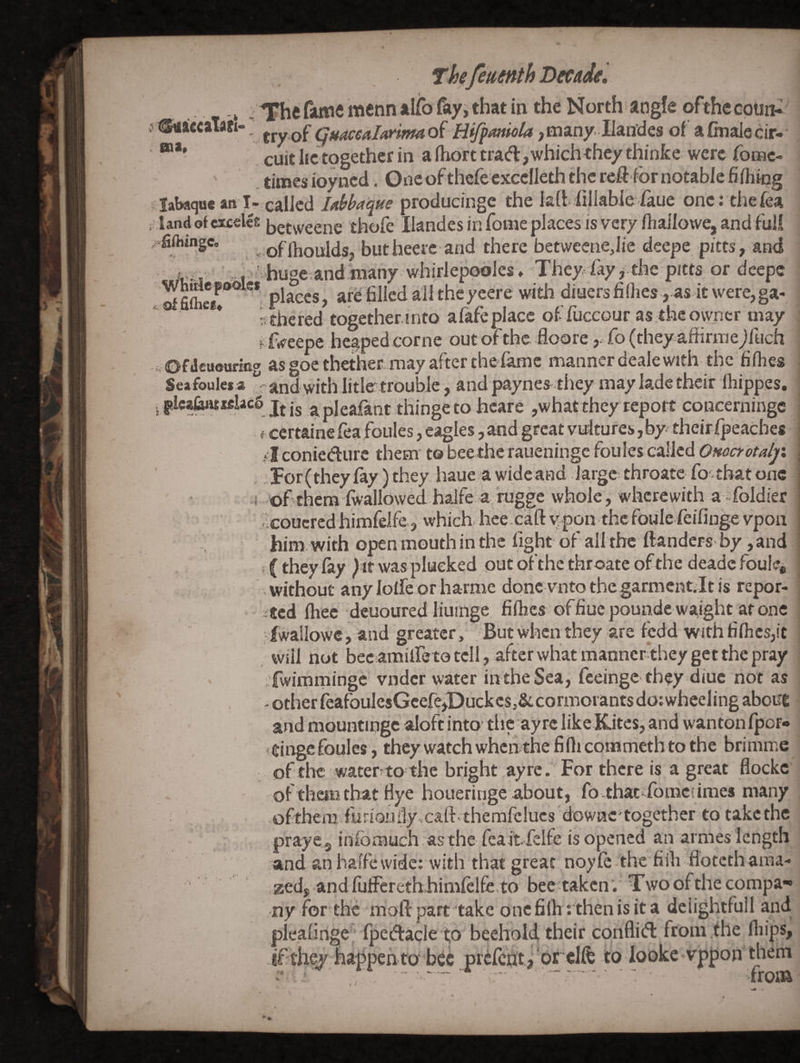 sia. T^he fsunfi il^o feyi that in the North angle ofthecptiiK try-of guacealrntm o^ Miff^miola ,niany. Ilan'des of a finale cir¬ cuit he together in a(horttrad,whichtheythinfce were fomc- times ioyned. One of thefe excelleth the refi for notable fifhiqg labaquc an I- called iMaque producingc the laftfillabiefaue one: thefea Undofesxelce betvveene thofe Ilandes in fotne places is very lhailowe, and ful! fiflwngc, . oflhouldsj butheere and there betweenejie deepe pitts, and V- j V huge^andlmany whirlepodles ♦ The)^ fay j the pitts or deepe SfiS places, are filled all theyeere wieh diuersfi(hes , as itwere,ga- sthcred together into afafe place of fuccour as the owner may fiVeepe heaped come out of the floore, fo (they^aftirniejltich . Ofdcuourmg as goe thether may after the fame manner deale with the fifhes Seafoulesa ‘'’andwithlitle trouble, andpaynes they mayladetbeir Ihippes, apleafant thingeto hcare ,what they report concerninge certaine lea foules, eagles, and great vultures, by. their fpeaches Iconiedurc them tobee theraueningc foules called Onoctotaly, For(theyfey) they haue a wideand.large: throatc foithat one of^^them fwallowed halfe a mg whole, wherewith a sfoldier coucred himfelfe, which, hee call ypon the foule feifinge vpon him. with open mouth in the fight of all the ftanders by ,and (they fey was plucked out of the throate of the deadc foule* without any lolfe or harme done vnto thegarmcntilt is repor¬ ted Ihec deuoured liuinge fifties offiuepounde waight at one iwallowc, and greater. But when they are fedd wjthfiftics,it wiil not bec amiireto tell, after what manner they get the pray fwimmingc vndcr water in the Sea, feeinge th$y diuc not as other feafouIesGcefe,Duckcs,& cormorants do: wheeling about and mountipge aloft into' the ay re like Kites, and wantonlpor- dngefoules, they watch whentbe fifticommethto the brimme of the waterto the bright ayre. For there is a great flockc of them that fiye hoiieringe about, fothac^fomciimes many ofthem furioiiily^caft therafclucs dowac'together to takethe praye^ iriforauch as the feaitfelfe is opened an armes length and anhalfewidc: with that great noyfc -the fiih flotcth ama¬ zed, andfuffereth himfelfe to bee taken’. Twoofthecompa-* ny for the mofi: part take one filh : then is it a deiightfuil and plealinge Ipedaqle to beehold their confliifl from the ftiips, happen to b^c prclchtj or clfe to lookc vppon them froiia ' -<.