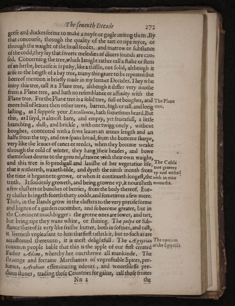 geeft and duckes feeme to make a noyfc or eagle among them .Bv chatconcourfc, through the suality'of the tic orriSuyee, o? through the waight of the fmalllcedes, .and marrow or fubftance of the coddjthcy lay tliat fweete melodies of diuers founds arc cau< fed. Concerning the treCjWluch Imight rather call a Ifalke or ftem of an Iicrbc, bocaufeit is pithy^ like a thiftle, not folid^ although it arilc to the heigth of a bay tfccj many things are to be repeated:but hecreof mention is briefly made in my former Decades. They who inioy this tree, call it a Plane tree, although it differ very mudie ffom a Plane trec^ snd hath no rclemblancc or affinity with the Plane tree. For the Plane tree is a Iblid tree, full of boughes, and The Plane more full of leaucs then other trees, barren, high or tall, and long tree, lafting 5 as I fuppole your Excellencies hath fometimes hcard,BuC this, asifaydjisalmoft bare, and empty, yet fruitcfull, a little branching, dulh, and brickie, with one twigg onely , without boughes, contented with a fewe leaucs an armes length and an halfe from the top, and two fjpans broad, from the bottome Ibarpe, very like the leaucs of canes or reedes, when they become weake through the cold of winter, they hang [their hcadcs, and bowc ^ themfelucs downe to the grou nd,drawne with their own waighr, and this tree is (bprodigall^and lauifhe of her vegetatiue life, Cafsla that it withercth, waxeth olde, anddycth the ninth t^^onth from thetime it b.egannetogrowc, or when it continucth longeft,the mh in nine ' tenth, It fuddenly groweth, and being growne vp,it nourifheth taoncths. afew duffers orbunches of berries, from the body thereof. Eue- ry duffer bringeth foorth thirty cQdds,and fometimes a few more. Tilde, in the Hands grow in the duffers to the very prccile forme and bignesofa garden cucumber, and fb become greater, but in the Continent much bigger; the grecnc ones are lower, and tart, bat being ripe they waxe white, or fliining. The pulpa or Cub- ftance thereof is very like frelhc butter, bothinfoftncs,and taft, it Teemeth vnpleafant to him thatff rft taffeth it, but to fuch as are acpuftpme.d thereunto, it is moft dclightfull. The The opinion common people bable that this is the apple of our firft created Father (tAdam, whereby hee ouerthrewe allmankindc. The ffraunge and forraine Marchantes of vnprofitablc Spices,per¬ fumes, (Arabian effeminating odours,, and woorthlcffe pre- aousffoncS; trading thofe Countries forgainc, callthofcfruitcs jijn 2  ”■ the .Si' ■' - I I \\ «*l]