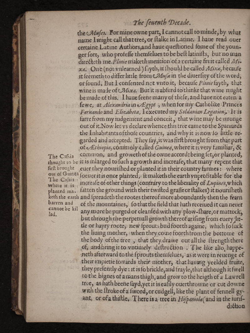 the ^Mufes. For mine owne pare, I cannot call to ininde, by what name iHiigbt call that tree, or ftalke in Latinc. lhaue read oucr ccrcaine Latine Autbors,and haue queftioned Ibmeof the youn¬ ger fort, whoprofeffcthemlcluestobebeftlatinifts, bur no man dirc6leth me.Rlinie maketh mention ofa certaine fruit called AfU xa. One(notvn!earned)'fiytlvitlhouldbecalledJ//.v<«,bccaufe it ieemech to differ little from LMaJk in the diucrfiiy ofthe word, orfound* Buclconfentednot vntoit, becaule P/wr>layth, that wine is made of But it is abfiird to’tliinke that wine miglit ' be made of this. Ihaucfeenemanyof thefejandhauenoteaien a fewe,- &X. Alexandriaia^/Egjpt , whenformy-Catholike Princes Rtr'nmAo and Eli^beta, I executed my Soldanian Legatioriy. Iris farre from my iudgement and conceit, that wine may be wronge out of it.Now let vs declare whence this tree came to the Spaniards the Inhabitantsofthofe countries, and why it is now lo little re¬ garded and accepted. Tliey fayjit was firft brought from tivatpart ,oity£thiopia, comhi oly called Gninea^ where it is very familiar, & The Cafsia common, and growethofthcowneaccordtbeingletjor planted, thought to be it is iniarged to fueh a growth and incrcafe, that many repent that firft brought euer they nouriihied or planted it in their country farmes: where foeueric is once planted, it maketh t!ie earth vnprofi table ■ for- the where it is i^^creafe ofother things (contrairy to the liberality of Xfepi»ejt,which planted ma- fatten the ground with their twilled graflcor llaIkcs)itnourifficth kcthihc earth and fpreadeth the rootes thereof more aboundantly then the- fcarn barren and of the mountaines, fothatthe field that hath receiued it can neuet «nnot DC il any more be purged or cleanfed with any plow-fh^eior mattock, but through .the pcrpetuall growth thereof arifiilg from cuery jlit- tle or hayry roote, newlproutsbudfoorthagaine, which fo fuck the liuing mother,- when they come foorthfrom the bottome of the body ofthe tree , that they drawe outallthe ftrengththere of, .andbringit to vDtimely dtftrudlion . The like allo,happc- neth aftcrward tothe fproutsthemfelues, asitwereinreuenge of f their impictie towards their mother, that hauing ycelded fruite, ^ • ibey prclently dye: it is fb brickie,and fraylejthat although it fwell to the bignes of a mans thigh, and grow to the heigth of a Law'rell tree, as hath beene fayd,yct it is cafily ouerthrowne or cut downc with the Itroke ofa fwordjor cudgcll, like the plant of fenncll gy- ant, or ofa thiftlc, There is a tree in and in the iunf- diifron