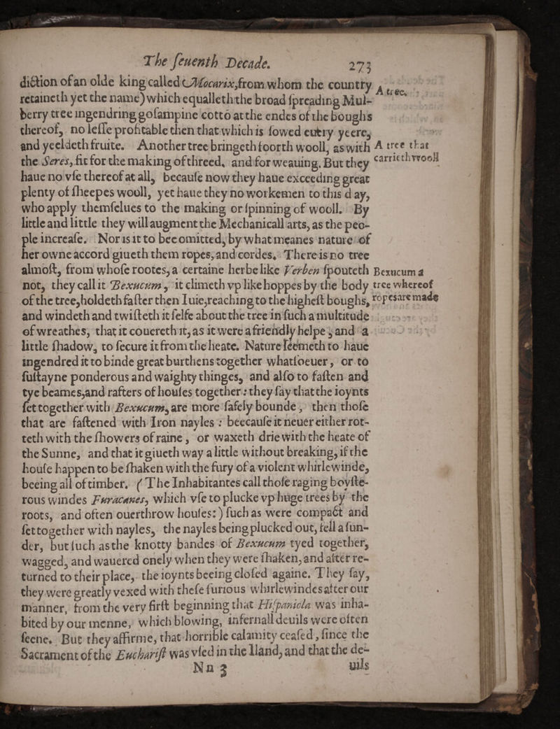 di6Vion of an olde kingcallcd UPfocartx,from whom the country . rctaincth yet the naiiic)whiclvcqualletlnhc broad (preadmg Mul- ^ berry tree ingendring gofampine cotto at the cndcs of the bough s thereof, no lefle profitable tlien that which is fowed cufciy ycere, - ^ and yecldeth fruitc. Another tree bringethfoorth wooll, as with A tree tl;at the fit for the making of threed, and for weauing. But they hauc no vie thereof at all, becaulc now they haue exceeding great plenty of flicepcs wooll, yet haue they no workcmeii to this d ay, who apply ihcmfelues to the making or Ipinning of wooll. By little and little they will augment the Mechanical! arts, as the peo¬ ple incrcafe. .Nor IS it to bee omitted,'by what mcanes nature of her owne accord giueth them ropes, andcordes. There is no tree almbft, from' whole rootes, a certaine herbe like Verbm fpouteth Bexucum a not, they call it !Sew»r^/»,’itclimethvplikehoppcsby the body tree whereof of the trce,holdeth faftcr then luie,reaching to the highclt boughs, and windeth and twifleth it felfc about the tree in fuch a multitude : ' ofwrcathes, thatitc6uercthit,asitwercafricrtdlyhclpeifand a - ' v little lhadow, to fecure it from the heatc. Nature rc^eth to haue ingcndrcd it to binde great burthens together whatlbeucr, or to fuitayne ponderous and waighty tbinges, and alfo to fallen and[^ tyc beames,and rafters of Iioulcs together; they fay chatthe ioynts let together with are more lafely bounde, then thole that arc faftened with Iron nayles : beecaufe it heuer cither rot- teth with the Ihowcrs of rainc, or waxeth drie with the hcate of the Sunne, and that it giueth way a little without breaking, if the houfe happen to be lhaken with the fury of a violent whirlcwinde, beeing ail of timber, f The inhabitantes call thole raging boylle- rous windes pHracttnes, which vfe to plucke vp huge trees by the roots, and often ouerthrow Iioules:) fuch as w'crc compabi and fettogether with nayles, the nayles being plucked out, Icllafun- der, bucluchasthe knotty hm^es oi BexHcmn tyed together, wagged, and wauered oncly when they were lhaken, and alter re¬ turned to their place,- the ioynts beeing elofcd againe. They fay, they were greatly vexed with thefe furious whirlcwindcs after our manner, from the very firll beginning thatT/;!,'p4«rV/^ was inha¬ bited by’our tnenne, which blowing, infernaiideuils were often fecne. But they affirnie, that Jiorriblc calamity cealed, fince the Sacrament of the EtichaHft vvss vied in the Hand, and tliat tlic dc-