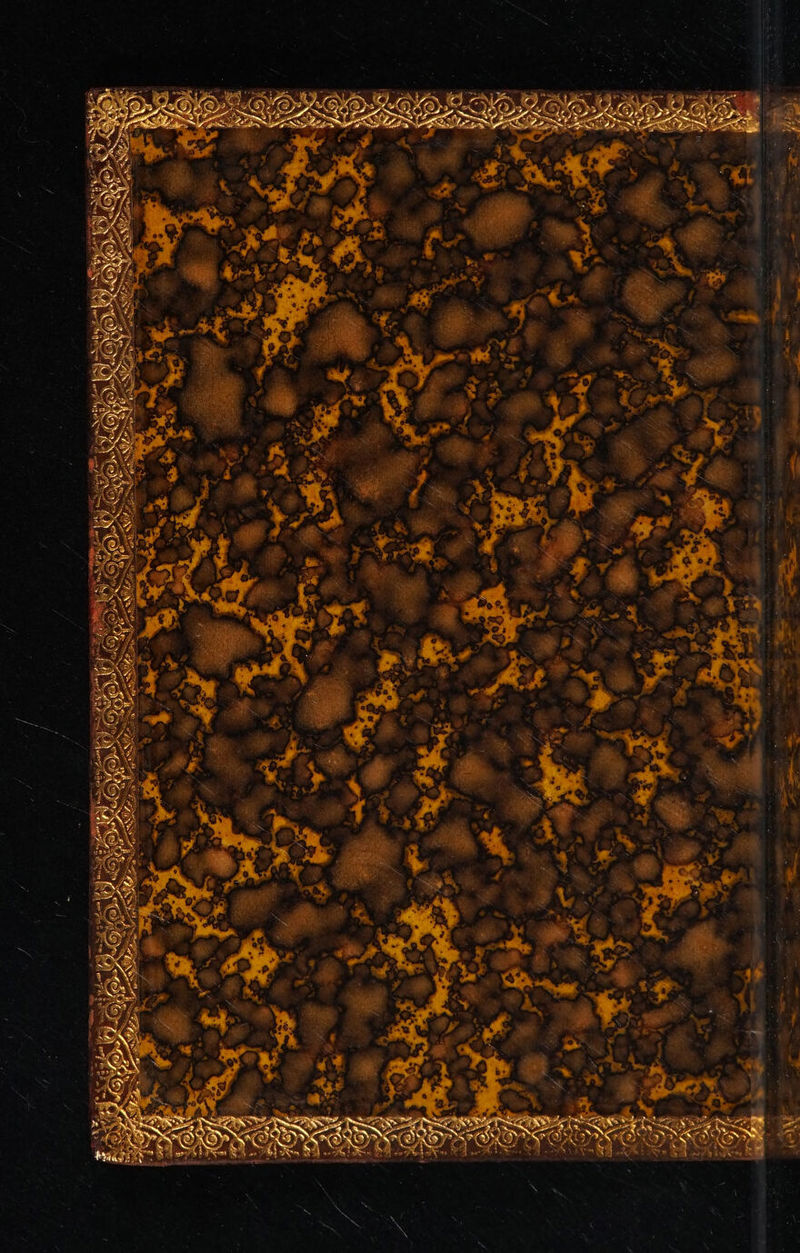 No text description is available for this image