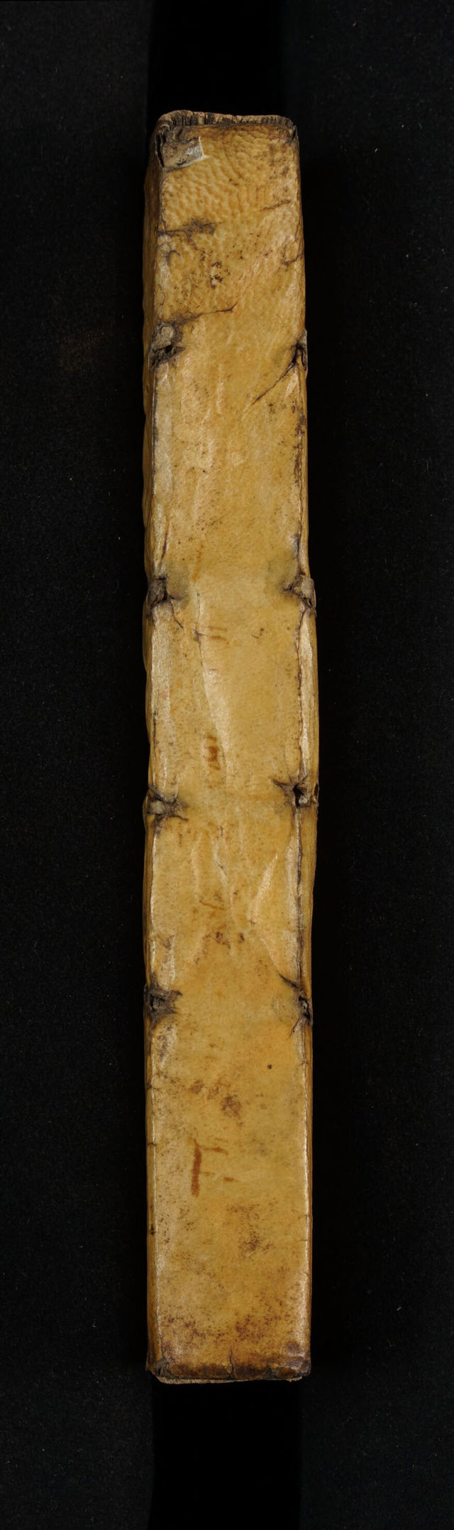 digitised image 2