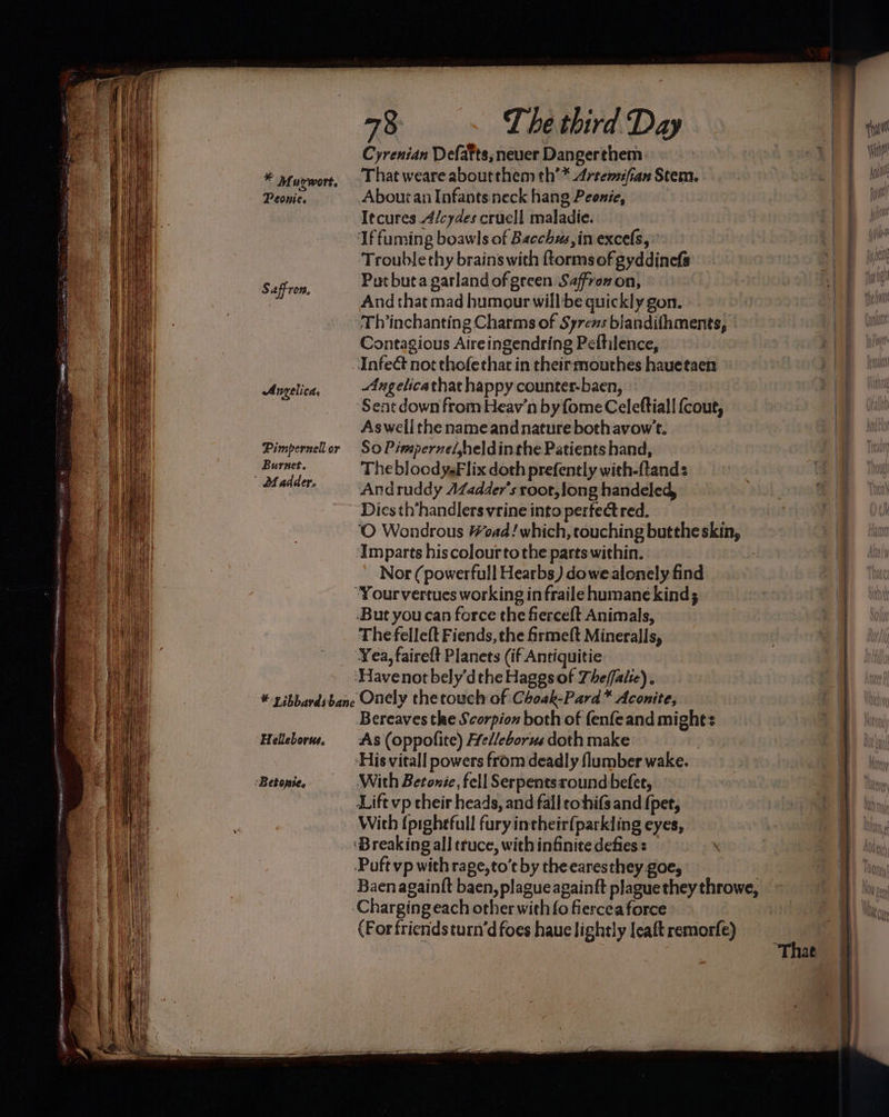 * Murwort. Peonie. Saffron, Angelica, Pimpernel or Burnet. ' Madder. 78 T he third Day Cyrenian Defafts, never Dangerthem That weare aboutthem th’* Artemifan Stem. About an Infants neck hang Peonie, Iecures Alcydes crucli maladie. ‘If fuming boawls of Bacchus,in excels, ‘Trouble thy brains with ftormsof gyddinefs Put buta garland of green Saffron on, And that mad humour willbe quickly gon. Thinchanting Charms of Syrens blandithments, Contagious Aireingendring Peftilence, Infect not thofethat in cheirmouthes hauetaen Angelicathat happy counter-baen, Sent down from Heav'n byfome Celeftiall {cout, Aswell the nameand nature bothavow't. So Pimperne/,heldinthe Patients hand, The blood yeFlix doth prefently with-ftands Andruddy AZadder’s root, long handeled, Dics th’handlersvrine into pertectred. — ‘© Wondrous Head! which, touching butthe skin, ‘Amparts hiscolourto the parts within. Nor (powerfull Hearbs) dowealonely find -But you can force the fierceft Animals, Thefelleft Fiends, the firmeft Mineralls, Yea, faireft Planets (if Antiquitie Helleborus. Betonse. Bereaves the Scorpion both of fenfeand might: As (oppofite) He//eborus doth make With Betonie, fell Serpentsround befet, Lift vp their heads, and fall rohifs and (pet, Wich {pighefull fury intheir{parkding eyes, Baen againft baen, plague apainft plague they throwe, (For friends turn’d foes haue lightly lcaft remorfe) —-—— a