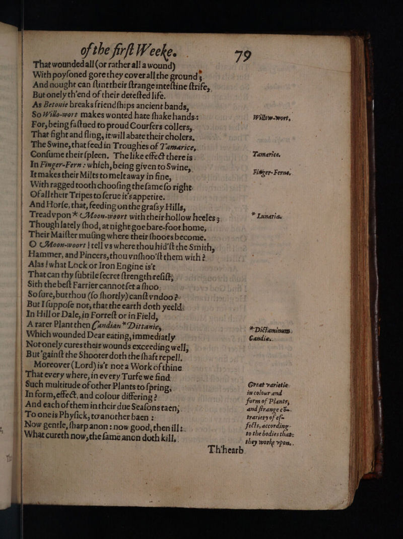 —— ——— a of the firft W coke. That woundedall (or rather al! a wound) With poyfoned gorethey coverall the ground ;. But onely ch’end of their detefted life. As Betowie breaks friendthips ancient bands, So Wilo-wort makes wonted hate fhake hands: For, being faltaed to proud Courfers collers,. That fight and fling, iewill abate their cholers,. The Swine, that feed in Troughes of 7amarice,. Confume their{pleen. The like effe@ thereis. In Finger-Fern : which, being given to Swine, I¢makes their Milts tomelt away in fine, With ragged tooth choofing thefame(o right Ofallthet Tripes to feruc it’sappetite. And Horfe, that, feeding onthe grafsy Hills, Though lately thod, atnight goebare-foot home, Their Maifter muGing where their fhooes become. Hammer, and Pincers,thouvnfhoo'lt them with? Alas! what Lock or Iron Engine is’t That can thy fubtilefecret ftrengthrefit: Sith thebeft Farrier cannotfet.athoo. Sofure,butthou (fo fhortly) cant vndoo 2» A rarer Plant then (andian* Dittanie, Which wounded Dear eating, immediatly Notonely cures theirs wounds exceeding well; But’gain{t the Shooter doth the thaft repell, Moreover(Lord)is’t nota Work of thine That every where, in every Turfe we find. Such multitude of other Plants to fj pring, In form, effet, and colour differing ? And each of them intheir due Seafonstaen;. To oneis Phyfick, eaanother baen :- Now gentle, fharp anon: now good, thenills. Thhearb PY silow-wort, Tamarite. Fiager-Ferne, * Tunaride *Diflaminum ; Candies. Great varietie. in colourand form of Plants, and frange cos. trariety of efm fects, according- to the bodies thas» they worke pon.