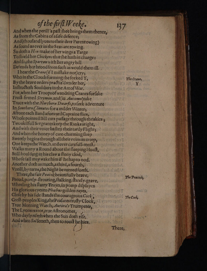 | . } j i P| | | | ( | \ | of thepirlt Weeke. Andwhen the peril! ’s paft.thee bringsthem thence, As from the Cabins of alafe defence; | And(thoufandlyuestotheir deer Parentowing) As found aseverintheSeas are rowing. Sodotha Hex make of her wings a Targe Toshield her Chickens that (he hathin charge: And fo,the Sparrow with herangry bill Defends her brood from fuch as would them ill. Thearthe Craze(if I miftake not)cry; ay By the brave orders practiz’d vnder her, | ¥ For,when her Troops of wandring Cranes forfake Truce with the Northern Dwarfs,tofeek adventure Afront each Band aforwardCaptaine flies, Twoskilfull Sergeants keep the Ranksaright, Andwith their voice haften theirtardy Flights. And when the honey of care-charming fleep Sweetly beginsthrough all theirveinstocreep, One keepsthe Watch, andever carefull-moft, Walks many a Round about the fleeping Hoaft,, Whole fail may wakehimif hehapto nod. Another doth as much, athird,a foursh; | Vntill, byturns,the Night beturned forth; There,the fair Peacok beautifully brave; The Peacock. Proud, portly-{trouting,{talking, ftately-grave, Wheeling his {larry Trayn;in pomp difplayes | His glorious eyesto Phabus golden rayes, i | Clofe by his fide ttandsthe courageous Cock OO. The Cocky. Crelt-peoples King,thePeafantstrulty Clock, True Morning Watch; Azrora’s Trum peter, | mare ?. Who dayly rifechwhen che Sun doth rife, : And when So/fetteth,then to rooft he hies;. & giod 7 ees There;, ? \
