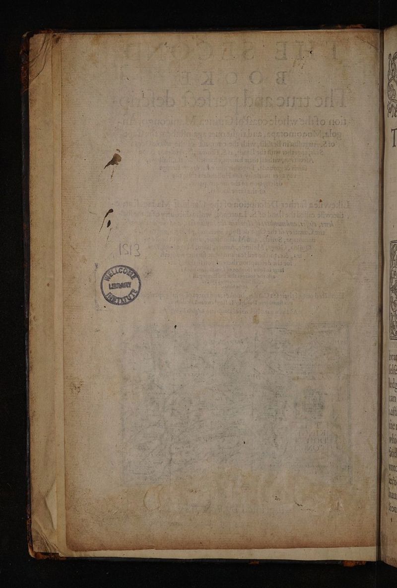 No text description is available for this image