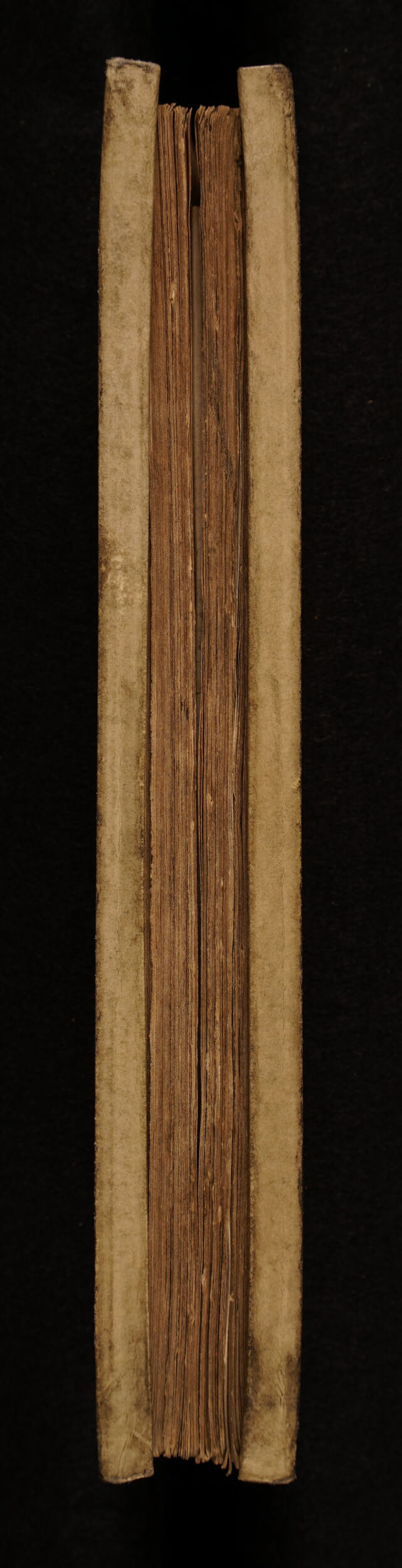 digitised image 3