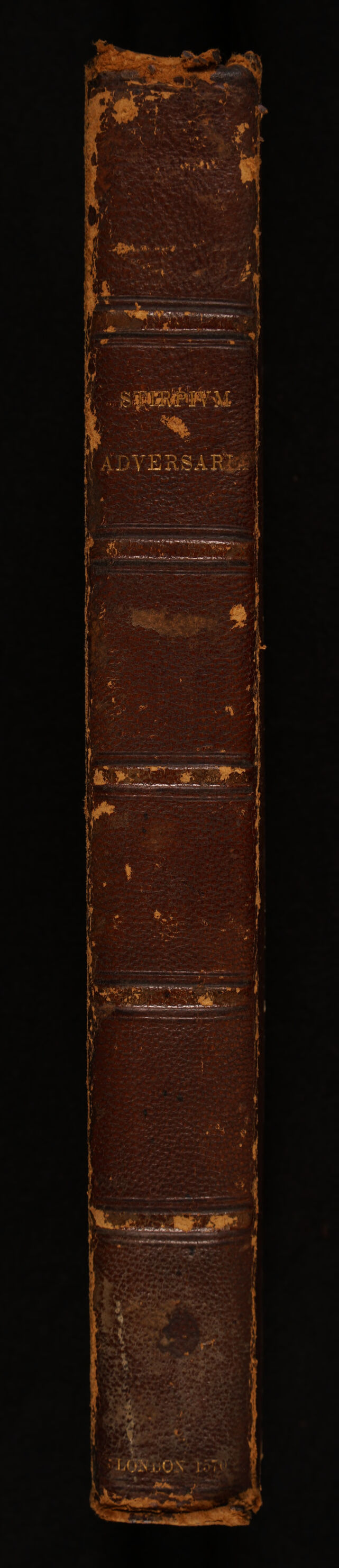 digitised image 2