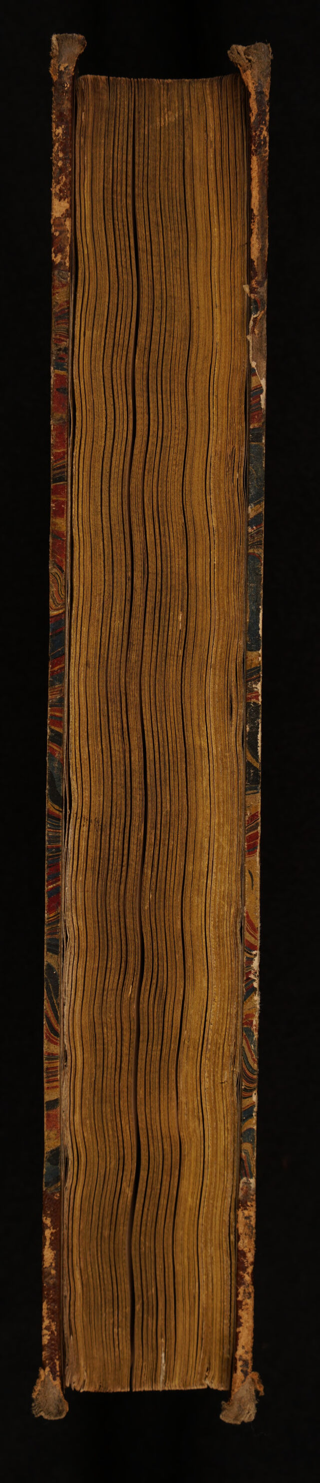 digitised image 3