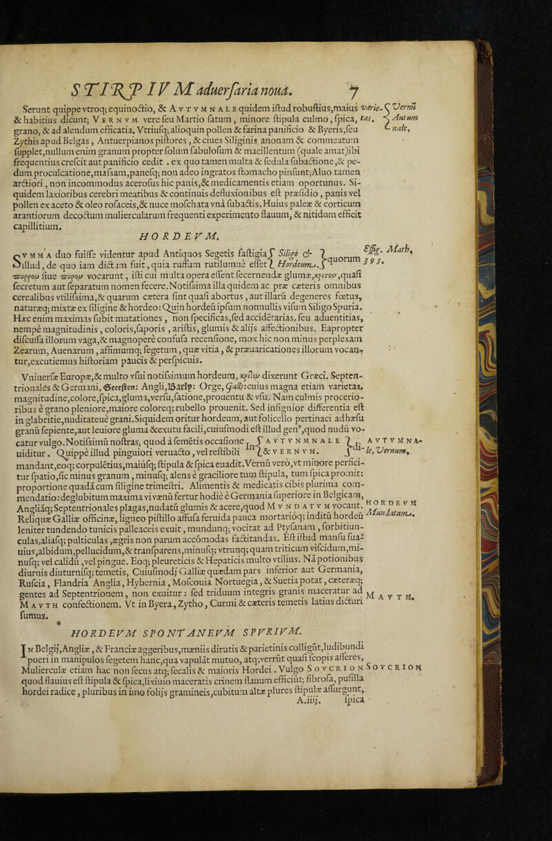 ■ S TIV M aduerfaria noua. 7 Serunt quippe vtroq; equinoftio, & Avtvmnale quidem iftud robuftius,maius Vemu & habitius dicunt; V e r n v m vere feu Martio fatum, minore ftipula culmo, fpica, tas, ^ Anthm grano, & ad alendum efficatia* Vtriufq; alioquin pollen & farina panificio & Byeris,feu ^ nale^ Zythis apud Belgas, Antuerpianospiftores ciues Siliginis anonam & commsatuni fupplet,nullum enim granum propter folum fabulofum & macillentum (quale amat)ibi frequentius crefeit aut panificio cedit . ex quo tamen multa & fedula fubadione,& pe¬ dum proculcatione,mafsam,panefq; non adeo ingratos ftomacho pinfunt; Aluo tamen ardiori, non incommodus acerofus hic panis,5c medicamentis etiam oportunus. Si- ^ quidem laxioribus cerebri meatibus & continuis defluxionibus efl: pricfidio, panis vel pollen ex aceto & oleo rofaceis,& nuce mofchata vna fubadis. Huius palea; & corticum arantiorum decodum muliercularum frequenti experimento flauum, & nitidum efficit capillitium. HO RD EV M, Sv M M A duo fuilfe videntur apud Antiquos Segetis faftigia f Siligo ^ Iquorum illud,de quo iam didam fuit,quia ruffum rutilumue elfetf Hordeurru.^^ flue vocarunt, ifticui multa opera eflentfecernenda; glum3e,)cj'(T0,t/,quali fecretum aut feparatum nomen fecere.Notifsima illa quidem ac pr^e cieteris omnibus cerealibusvtilidima,&quarum esetera fintquafiabortus,autillaru degeneres foetus,, naturaeq; mixte ex filigine & hordeo: Qmn hordeu ipfum nonnullis vifum Siligo Spuria. Ha;c enim maximas fubit mutationes, non {pecificas,fed accidetarias, feu aduentitias, nempe magnitudinis, coloris,faporis , arilHs, glumis & alijs affedionibus. Eapropter difculfa illorum vaga,& magnopere confufa recenfioiie, mox hic non minus perplexam Zearum, Auenarum, affimumq; fegetum, quse vitia, & prxuaricationes illorum vocan-» tur,excutiemus hiftoriam paucis & perlpicuis. Vniuerfe Europ^e,& multo vfui notifsimum hordeum, ycfUty dixerunt Gr^ci. Septen^ trionaHs& Germani, (geerflen: Angli,l$arl?: Orge, 9^///:cuius magna etiam varietas, mac^nitudine,colore,fpica,gluma,verfu,fatione,prouentu & vfu. Nam culmis procerio¬ ribus e grano pleniore,maiore coloreq; rubello prouenit. Sedinfignior differentia efl: in glabritie,nuditateue grani.Siquidem oritur hordeum, aut folicello pertinaci adhxfu granu fepiente,aut leuiore gluma &exutu facili,cuiufmodi efl: illud gen^,quod nudu vo¬ catur vulgo. Notifsimu noftras, quod a femdis occafioneE avtvnmnale ^ avtvmna- uiditur. Quippe illud pinguiori veruado, vel reftibili j Vernitr»^ mandant,eoq; corpuletius,maiufq; ftipula & fpica euadit.Vernu verb,vt minore perfici¬ tur fpatio,fic minus granum, minufq; alens e graciliore tum ftipula, tum fpica promit; proportione quada cum filigine trimeftri. Alimentis & medicatis cibis plurima com¬ mendatio rdeglubitum maxima vi vecnu fertur hodie e Germania fuperiore in Belgicam, _ Angliaq; Septentrionales plagas,nudatu glumis & acere,quod Mvndatvm vocant. ° ^ ^ Reliqite Gallia officinse, ligneo piftillo affufa feruida pauca mortarioq; inditu hordeu leniter tundendo tunicis palleaceis exuit, mundunq; vocitat ad Ptyfanam, forbitiun- culas,aliafq; pulticulas ,a;gris non parum accomodas faditandas. Eft iftud. manfu fua- uius,albidum,pellucidum,& tran{parens,minufq; vtrunq; quam triticiuTi vifcidum,mi- nufq; vel calidu ,vel pingue. Eoq; plcureticis & Hepaticis multo vtilius. Na potionibus diurnis diuturnifq; temetis, Ciiiufmodj Gallisequccdampars inferior aut Germania, Rufeia, Flandria Anglia, Hybcrnia, Mofeouia Nortuegia, & Suetia potat, ca;terarq; gentes ad Septentrionem, non exuitur; fed triduum integris granis maceratur ad ^ y .j. jj M A v T H confedionem. Vt in Byera, Zytho, Curmi & caeteris temetis latius diduri fumus. HORBEVM SPONTANEAM SPVRIVM. Jn Belf7ii.An<?lia;. AEranrt;?’a(TapnKn<j m.vniiqdiruti.»; &r)arietiniscollisut,hidibundi i MulierculoE etiam hac nonfecusatq;fecalis& maioris Hordei .Vulgo S o vcr i o n • quod flauius eft ftipula & {pica,lixiuio maceratis crinem flauum efficiiit; fibrola, pufilla hordei radice, pluribus in imo folijs gramineis,cubitum alte plures ftip\fl^ affurmmt. A.iiij. fpica '