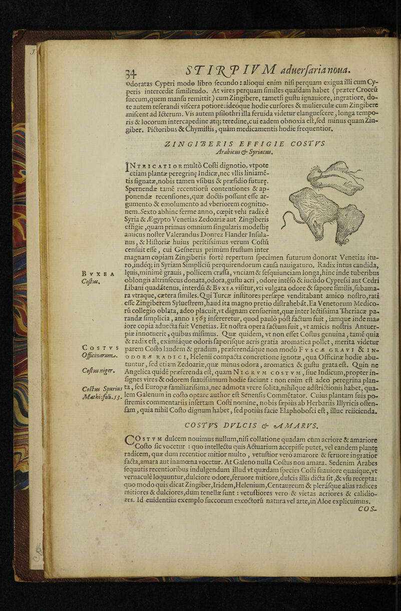 V X E A odoratas Cyperi modo libro fecundo: alioqui enim nifi perquam exigua illi cum Cy¬ peris intercedit fimilitudo. At vires perquam fimiles quafdam habet (prster Croceu fuccum,quem manlii remittit) cum Zingibere, tametfi guftu ignauiore, ingratiore, do¬ te autem referandi vifcera potioreddeoque hodie curfores 6c mulierculae cum Zingibere mifeentad Iderum. Vis autem pfilothriilla feruida videtur elanguefcere, longa tempo¬ ris & locorum intercapedine atq; teredine,c ui eadem obnoxia eil/ed minus quam2da- ^iber. Pidoribus & ChymilHs, quam medicamentis hodie frequentior* ZINGIBERIS EFFIGIE Zrabicpu Syriacm, cosrrs '1’ jil; '.Ei: : j C 0 S T v S i k Offiemarumj. i iJB Cofipu ni^er^ IN TRiCATioR multo Cofti dignotio, vtpotc '*‘etiam plantae peregring Jndics,nec vilis liniame- tis lignatae,nobis tamen vfibus & prafidio futur^. Spernendae tame rccentioru contentiones & ap- ponendar recenfiones,quae dodij-poffunt elfe ar¬ gumento <Sc emolumento ad vberiorem cognitio¬ nem.5exto abhinc ferme anno, coeoit vehi radix h Syria & dEgypto Venetias Zedoariae aut Zingiberis effigie ,quam primus omnium lingularis modelli^ amicus noller Valerandus Donrez Flander Infula- nus, & HiftoriiE huius peritifsimus verum Coftd cenhiitelfc, cui Gcfnerus primum fruftum inter magnam copiam Zingiberis forte repertum fpecimen futurum donorat Venerias itu¬ ro,indeq; in Syriam Simpliciu perquirendorum caufa nauigaturo» Radix intus candida, lallis,minime grauis, pollicem craua, vnciam& fefquiunciam longa,hincinde tuberibus oblongis altrinfecus donata,odora,guftu acri, odore iiitefo 5c iucudo Cyprefsi aut Cedri libani quadatenus, interdu & B vxe a vilitur,vti vulgata odore & fapore limilis,rubama- ra vtraque,c«teralimilcs.CmiTurca: inftitorcsperfcEpe venditabant amico noftro,rati elTe Zingiberem Sylueftrem,haud ita magno pretio diftrahebat.Ea Venetorum Medico- ru collegio oblata, adeo placuit,vt dignam cenfuerintjqute inter leclifsimaTheriaca; pa- randse limplicia, anno 15^3 infereretur, quod paulo poft fadum fuit, iamque inde maa iore copia aduetfta fuit Venerias. Et noftra opera fadum fuit, vt amicis noftris Antuer- pia»innotuerit, quibus milimus. Qus quidem, vt non elfet Coftus genuina, tame quia & radix eft, eximiaque odoris faporifque acris gratia aromatica pollet, merita videtur parem Cofto laudem & gradum, prarferendique non modo FvsCit gravi & in- o D o Pv radici. Helenii compada concretione ignote, qua Officiite hodie abu¬ tuntur, fed etiam Zedoari3i,quse minus odora, aromatica & guftu grataeft. Quin nc Angelicaquideproferendaelt,quamNigrvm costvm,liueIndicLim,propterin- lignes vires & odorem fuauifsimum hodie faciunt: non enim eft adeo” peregrina plan- CoBm Spurms ta, fed Europo familiarifsima,nec admota vrere folita,nihiIque adftridionis habet, qua- Galenum in cofto optare author eft Senenlis Commetator. Cuius plantam fuis po- ftremis commentariis infertam Cofti nomine, nobis faepiiis ab Herbariis Illyricis often- fam, quia nihil Cofto dignum habet, fedpotius facie Elaphobofci eft, illuc reiicienda. COSTFS DFLCIS & ^MARFS. C«- V M dulcem nouiraus nullum,nili collatione quadam cOm acriore & amariore Cofto lic vocetur : quo intelledu quis Aduariumaccepilfe putet, vel eandem plant^ radicem, qu^ dum recentior mitior multo, vetuftior vero amarore & feruore ingratior fa(fta,amara aut inamoena vocetur- At Galeno nulla Coftus non amara. Sedenim Arabes fequutis recentioribus indulgendum illud vt quadam fpecies Cofti fuauiore quasique,vt vernacule loquuntur,dulciore odore,feruore mitiore,dulcis illis dida lit,& vfu recepta: quo modo quis dicat Zingiber,Iridem,Helenium,Centaureum & pleralque alias radices mitiores &dulciores,dum tenella funt ;vetuftiores vero & vietas acriores & calidio¬ res.. Id euidentiiis exemplo fuccorum excodoru natura vel arte,in'Aloe explicuimus. C05-