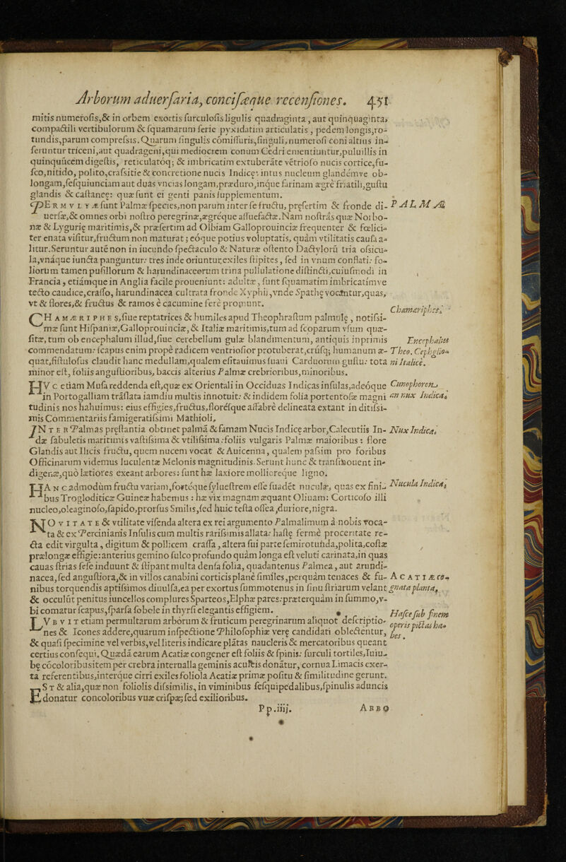 mitisnumerofis,&: in orbem exortis furculofis ligulis quadraginta, aut quinquaginta» compadili vertibulorum & fquamarum feric pyxidatim articulatis, pedem longis,ro- ’ tundis,parumcomprersis.QyurunJimgulisc6mi{ruris,finf^uli,numcroii conialtms in¬ feruntur triceni,aut quadrageni,qui mediocrem conum Cedri ementiuiitur,puluillis in quinquueemdigeftis, reticiilatoq; & imbricatim extuberate vetriofo nucis cortice,fu- fco,nitido, polito,crarsitie& concretione nucis Indice', intus nucleum glandeinve ob- Jongamjfefquiunciam aut duas vncus longam.prarduropnquc farinam a?gre fnatili,guftu glandis Sccailanee: qiia:runt ei genti panis/upplementum. ^Erm V L Y ^funt Palma: fpeciesmon parum inter fefrudinpr^fertim & fronde uerfe,& omnes orbi noftro peregrina,aegreque aifucfada.Nam noftrasquje Notbo- r\x & Lyguri^ maritimis,6c prafcrtim ad Olbiam Galloprouincia frequenter & foelicU ter enata vifitur,fru(flum non maturat j coque potius voluptatis, quam vtilitatis caufa a^ litur.Seruntur aute non in iucundofpe(flaculo&: Natura; oltento Daftyloru tria ofsicu- Ja,vnaque iunda panguntur.' tres inde oriuntur,exiles ftipites, fcd in vnum conflati; fo¬ liorum tamen puflllorum & harundinaccorum trina puliulationc difl:in(fti,cuiufmodi in , Francia, etiamque in Anglia facile proueniunt: adultx, funt fquamatim imbricatimve tedo caudice,craffo, harundinacca cultrata fronde Xyphij ,vnde ^path^ vocifntur,quas, vt&flores,& frudus & ramos e cacumine fere promunt. ■ ... j f n ' Cham^nth^Si. • ^ Ham^riphe $,liue reptatrices & humiles apud Theophraltum palmul^ , notifsi- mse funt Hifpanix,GalIoprouinciaE:,& Italiae maritimis^tum ad feoparum vfum quee- litce, tum obencephalum illud,flue cerebellum gulx blandimentum, antiquis inprirriis Enccfhaim commendatum; (capus enim prope radicem ventriofior protuberat,crufq; humanum x- Theo, Ceph^Iia^ quatjfijfulofus claudit Jianc medullam,qualem efitauimusfuani Carduorum giiltu; tota ni Italice. minor efl:, follisangiiflioribus, baccis alteriusPalms crebrioribus,minorihus. T-JV c etiam Mufi reddenda efl:,qiia: ex Orientali in Occiduas Indicas infulas,adeoque Cnncfloorcru ■^in Portogalliam traflata iamdiu multis innotuit; & indidem folia portentofe magni Indicat tudinis nos habuimus; cius effigies,frudus,florcfqueaiFabre delineata extant in ditifsi- ' mis Commentariis famigeratifsimi Mathioli, 7N T E R Talmas proflantia obtinet palma & famam Nucis Indice arbor,Cniecutiis In- JSIuxIndtcai ■^dae rabuletismaritimisvaftirsima&vtilifsima.-foliis vulgaris Palmae maioribus; flore Glandis aut Ilicis fnidu, quem nucem vocat &Auiccnna, qualem pafsim pro foribus Officinarum videmus luculentae Melonis ma2;nitudinis.Serunt hunc & tranfi^aouent in- <ligenae,qu6 IcXtiores exeant arbores: funt hae laxioreinollicrcque ligno. H A N c.admodiim frudu variam,fofteqiiefvluefl:rem efle fuadet nncula-j quas ex flni-. Indica^ busTrogloditicaeGuincachabemus: hac vix magnam aequant Oliuam: Corticofo illi nuclco,oleaginofo,rapido,prorfus Smilis,fed huic tefta oflea,dui iore,nigra. OviTATE & vcilitatc vifenda altera ex rei argumento Falmalimum a nobis roca- '*‘^ta& ex‘Percinianis Infulis cum multis rarifsimis allata; haflf ferrae proceritate rc- €fa edit virgulta, digitum & pollicem crafla, altera fui parte remirotuhda,polita,coflae ^ praelongae effigieranterius gemino fulcoprofundo quam longa efl veluti carinata,in quas cauas ftrias fefe induunt & ilipant multa denfa folia, quadantenus Falmca, aut arundi- nacea,fed angufl:iora,5c in villos canabini corticisplane fimiles,perquam tenaces & fu- A c a t i re¬ nibus torquendis aptifsimos diuiilfa,ea per exortus fummotenus in flnu flriarum ve:\dSit gnata-^knta^ & occulut penitusiuncclloscompluresSparteos,Elphaepares.-praiterquam infummo,v- bi comatur fcapusjfparfafobcle in thyrfi elegantis effigiem. ^ ^ ^ fjafce Cuh fnem T V B V IT etiam permultarum arborum & fruticum peregrinarum aliquot deferiptio' operis viUasha<» *^nes & Icones addere,quarum infpedionc Thilofophise ver^ candidari oblcdditur, ^ & quafl fpeciminc vel verbis,vel literis indicare piatas naucleris 5c mercatoribus queant certius confequi.Quseda earum Acatis congener efl: foliis & fpinis; furculi tortiles»Tuiu- be cocoloribusitem per crebra interaalla geminis acuitis donatur, cornua Limacis cxcr- ta referentibusjinterque cirri exilesfoliola Acatisprims pofitu & fimilitudine gerunt. S T & alia,qus non foliolis difsimilis, in viminibus fefquipedalibus/pinulis aduncis Ji donatur concoloribus vus crifps; fed exilioribus. ••• • Pp.lllj. Arbo