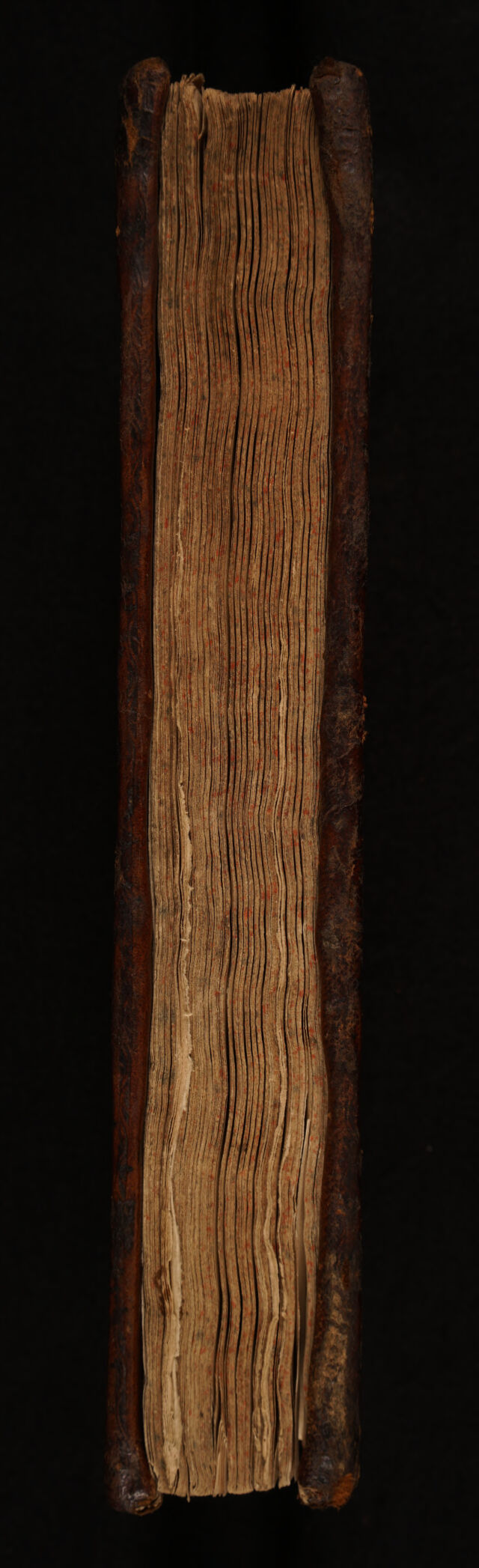 digitised image 3