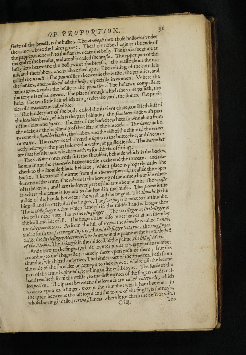OF (F%0^0%T10FI. 1- 1. 11 ■ 'The: Armepits'^'^^ thofc holiowcs vn ct bellyliethbetweenc jj j ; Theknitting of the entralsis &-heribbes fltnkesTand'is alfo called ibe beUy, compaffe at Viairessrowevnderthc bellie is the i ^ ^^^hevrm^ the fhoulderbUde,which ^ P ^ ^ ^ reachech ^ be oftbccbineand/er««- f Aebuttocks. Tbe/^««l>ebe- . riie necke,io tbcbeginning of the clifte ot ^be runes tweenethe/)iWdfttódc/,thenb es, . jbebuttockes,anddoepro- EeihaSijpW /-Viprh to the fhoulderbladc ben - ^ voward, is called the vppec XwXwoM. p.p6»g.>b»“5;S^^ xh^Cheironmncers- Asftom tUe,middlefin<!erSiiturne,shcringpnge ZàLnhthc forefinger \ol & tlie UttlefingerMercme:i , „ j- mime,the htU of Mm. tflfe Moorse. Ì ht trsang/e m the m.ddell ot tn^P^ kcr ^ Andnowc » *e fingers,who eoy bo ^hem > fauethe accordingto theirbigneUe t oftheirme rèacheth from ttamberwhichhathonlytwo.^bebmtop^« thefecond theendeof the (boulder or tothewrift-ioynt. The part of the arme beg>™«b, reach, g j ,ith Ldreachethfrointhewrifte, othehr ■ „,d>,^AKh UA-De^en, Thefpacesbetweencthe X i^.^t^ichhathbutone. m areuvo vpon each finger, except of the finger, is die nayle, vvhorebovvingiscalled«r»»^,(I®eanwn ^ ....^ Ihe