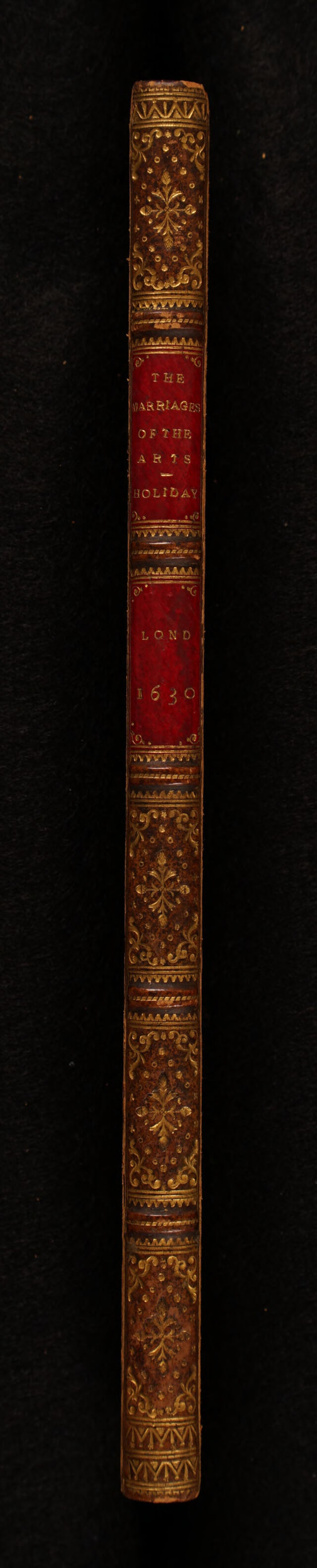 No text description is available for this image