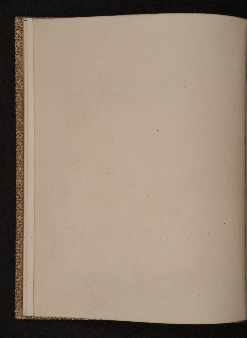 ' r ' . ■ > ■ ■, i , - \ « \ \ . - ' ‘ . • . , ' ' ) • * m % \ ' / > . ♦ ' • • , \ ■ * ' ■ S 1 - i ' \ • 4 . \ / .* >1 . # . \ ] ■