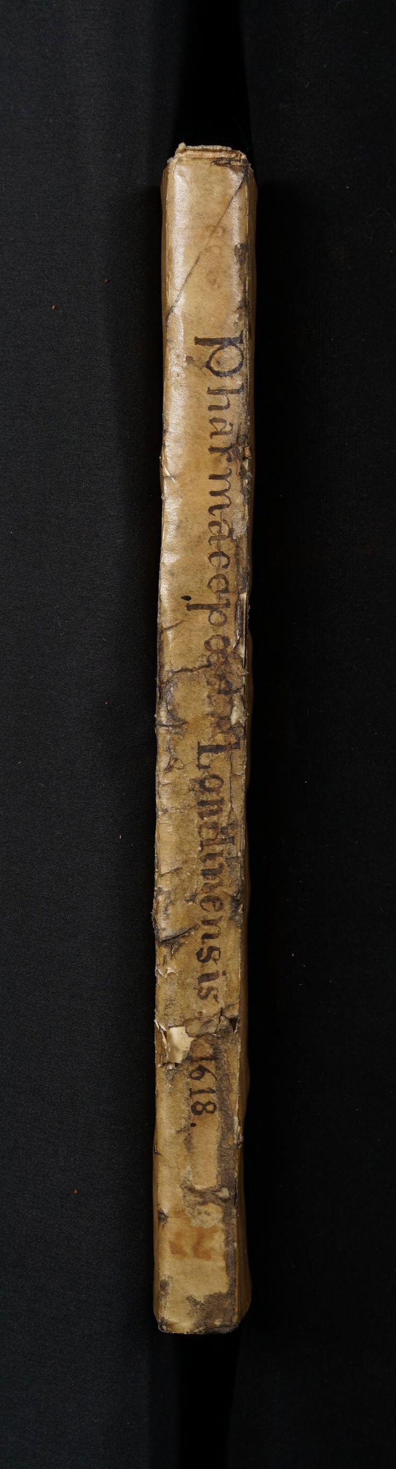 No text description is available for this image