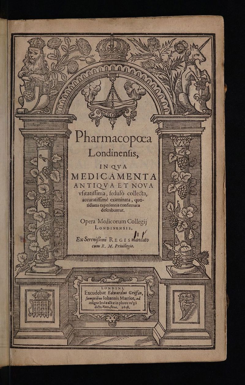(m ; a AEN fant EN | | tert tete ES mene CMIV FUR E EUBIRUTRAETISESFP ERNEUT TENEBRseT DEUDA Per / - P Londinenfis, IN QVA MEDICAMENTA ATULIQOUWVEA-CECDOUNOWVA vfitatiffima, feduló collecta, accuratiffimé examinata , quo- tidiana experientia confirmata defcribuntur, ni Hr Opera Medicorum Collegi j LouNpDpINENSISs. NA Ex Sereni[sini RE Gr s vandato (um R, M. Priuilegio. TANE NANNY i VIA ifia Nd — T rrr ER Viti EP s NB. T SUBITA BH HIDTE—S B [a3 LONDIN lI, j Excudebat Edwardm Griffin, fnmptiéui Yohannis Marriot, a4 infigne Iridisalbz in platea vu'eó dicta Fleet-freet,/ 1618. TIT INN mmn *^ í D - e ——— ; Q VEHI